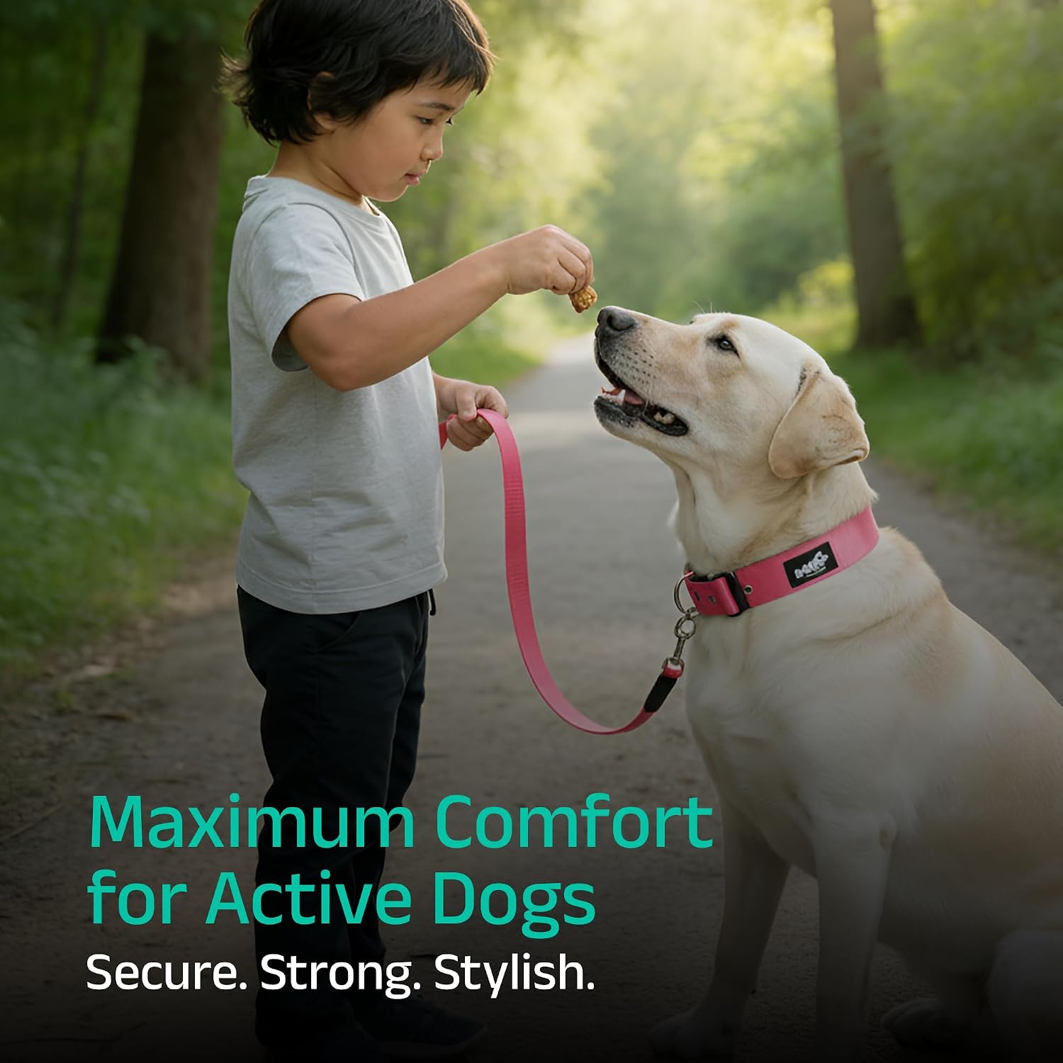 ADIL's Nylon Dog Collar – 1.5 Inch Wide Heavy-Duty Neckbelt with Metal Buckle D-Ring, Adjustable Safety Strap Small Medium Large Pets for Outdoor Walking Training