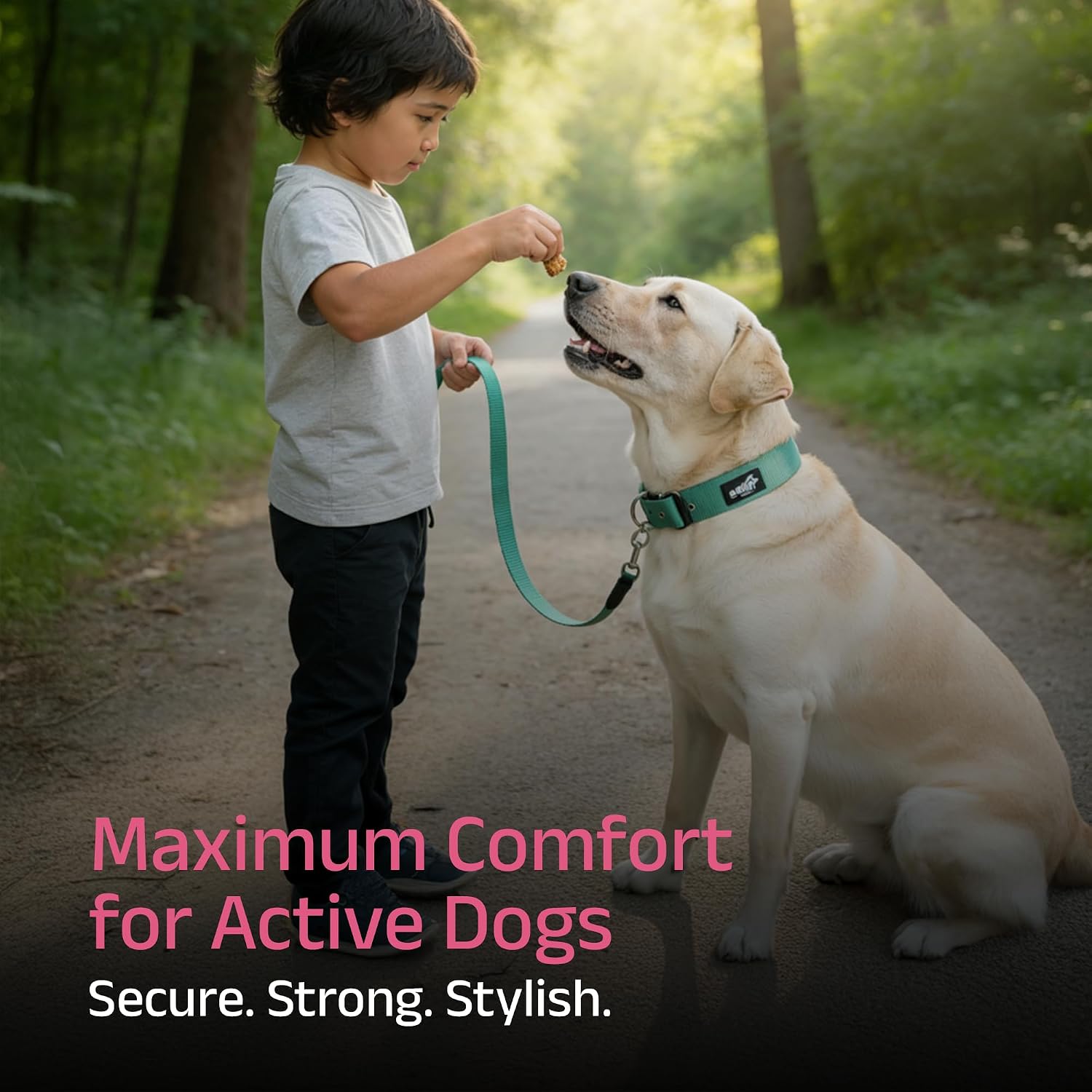 ADIL's Nylon Dog Collar – 1.5 Inch Wide Heavy-Duty Neckbelt with Metal Buckle D-Ring, Adjustable Safety Strap Small Medium Large Pets for Outdoor Walking Training