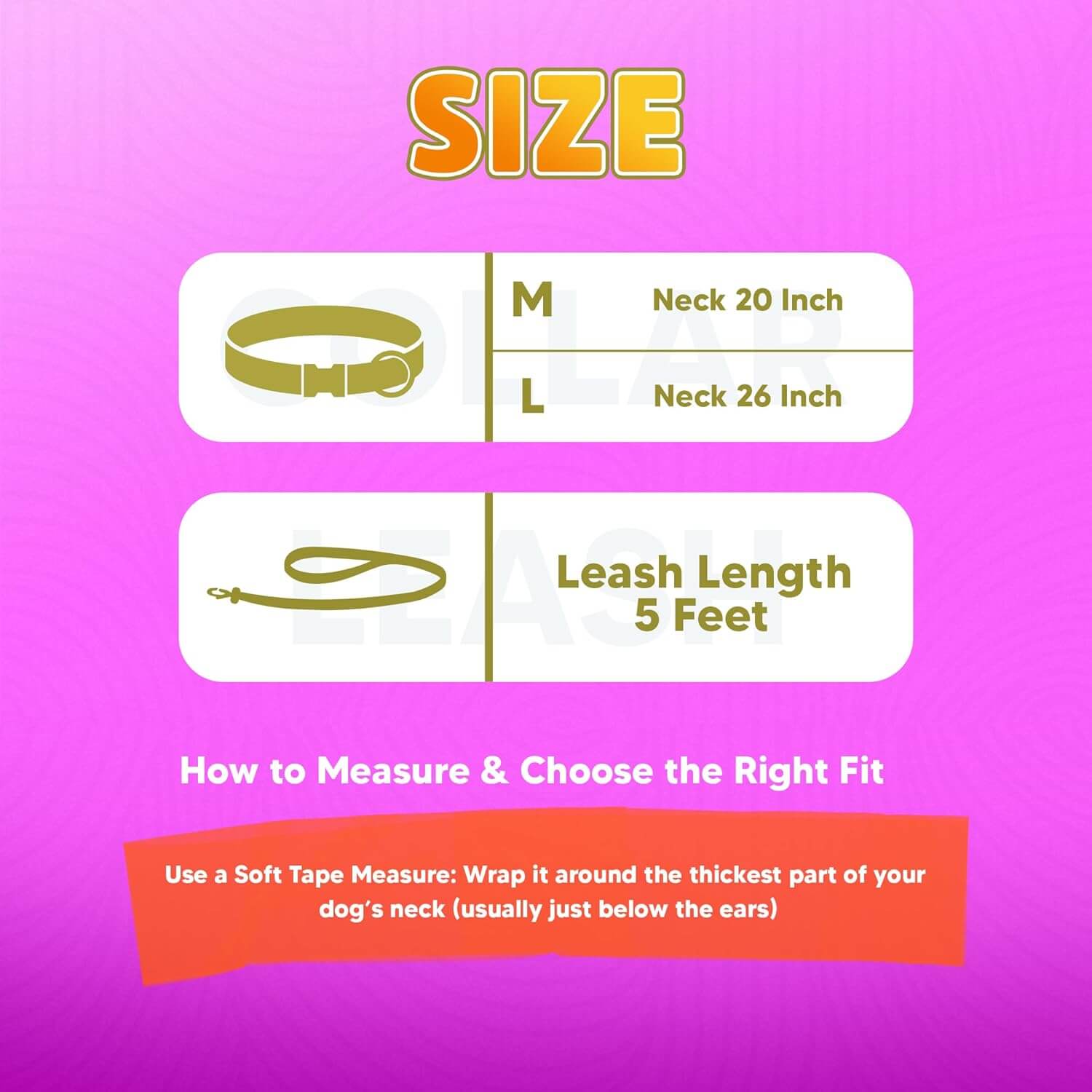 Biothane Combo Dog Collar & Leash