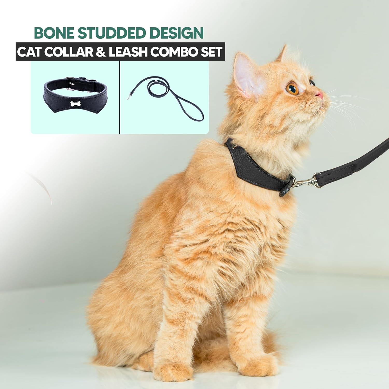 Adil’S Leather Cat Collar & Leash Set Combo - Stylish Single Bone Studded Design Collar, Genuine Leather, Adjustable Buckle & Secure 5ft Leash for Outdoor Activity (Brown)