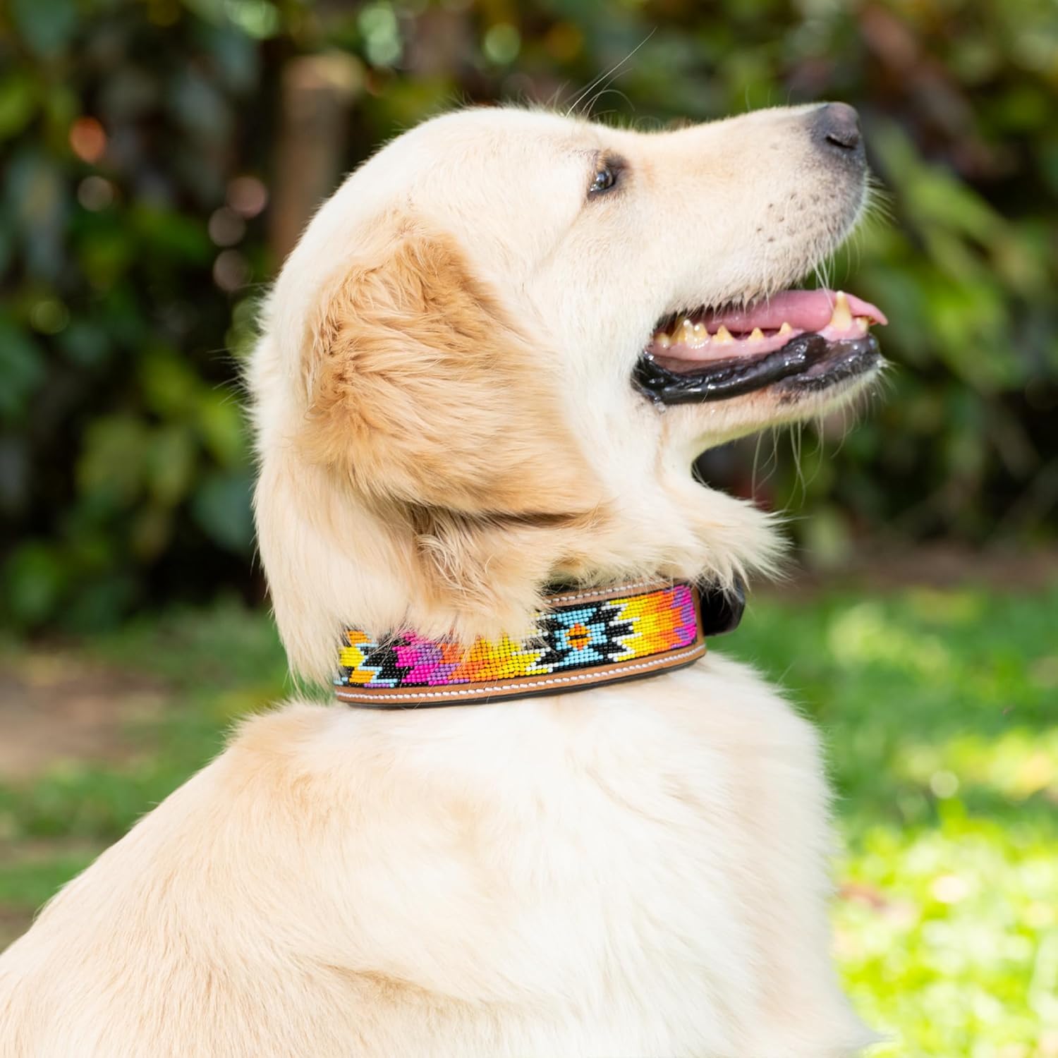 Adil’S Beaded Leather Dog Collar 1.5 Inch Width, Hand Tooled Adjustable Beaded Dog Collars with Strong Metal Buckle & D-Ring Suitable Dogs