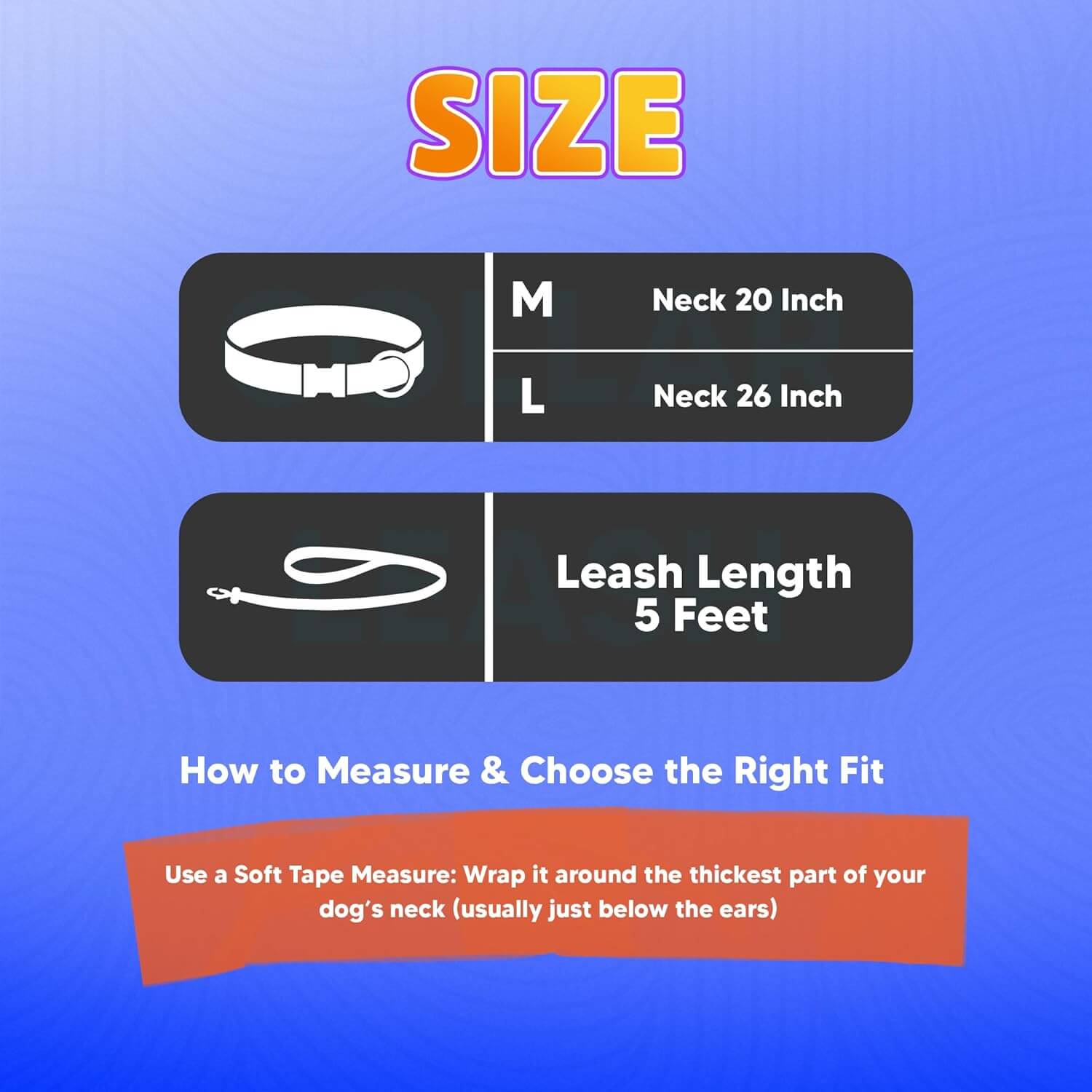 Biothane Combo Dog Collar & Leash