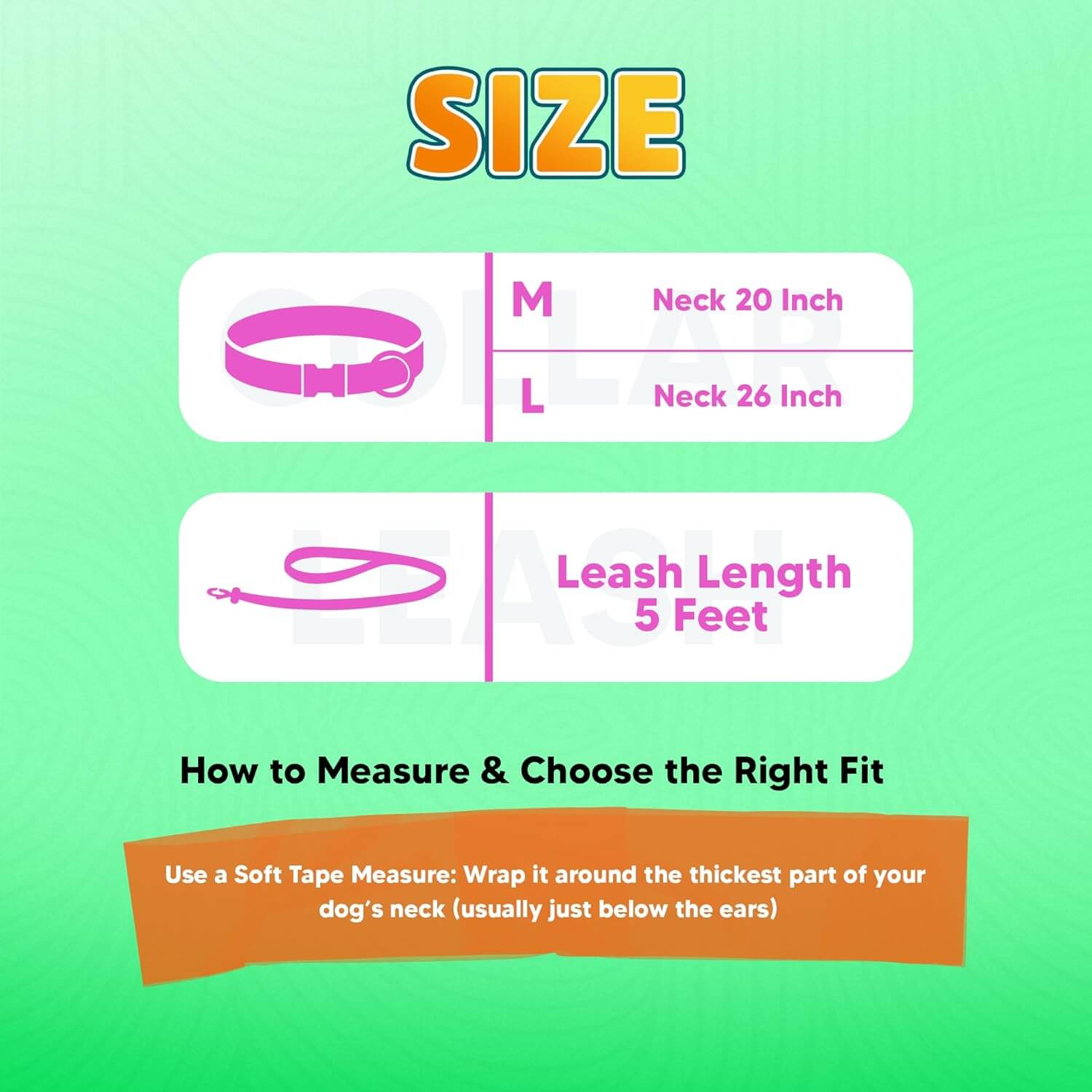 Biothane Combo Dog Collar & Leash