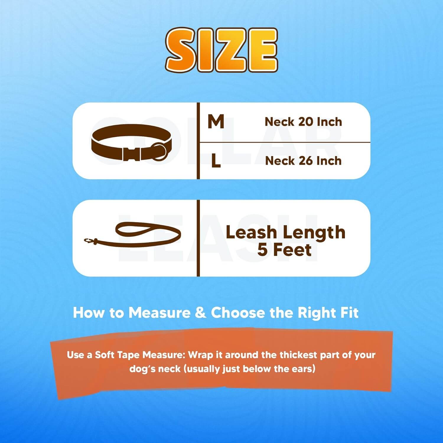 Biothane Combo Dog Collar & Leash