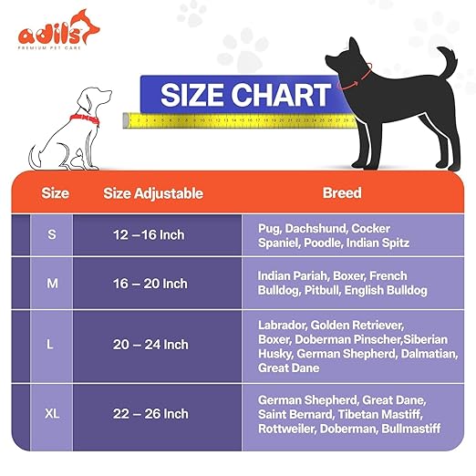 Adil's Genuine Leather Customise Dog Collar Leash Combo Set | Scallop Loop Design | Metal Buckle D-Ring | 360° Swivel Hook | 1 Inch Collar 5Ft Leash Pets | Walking Training