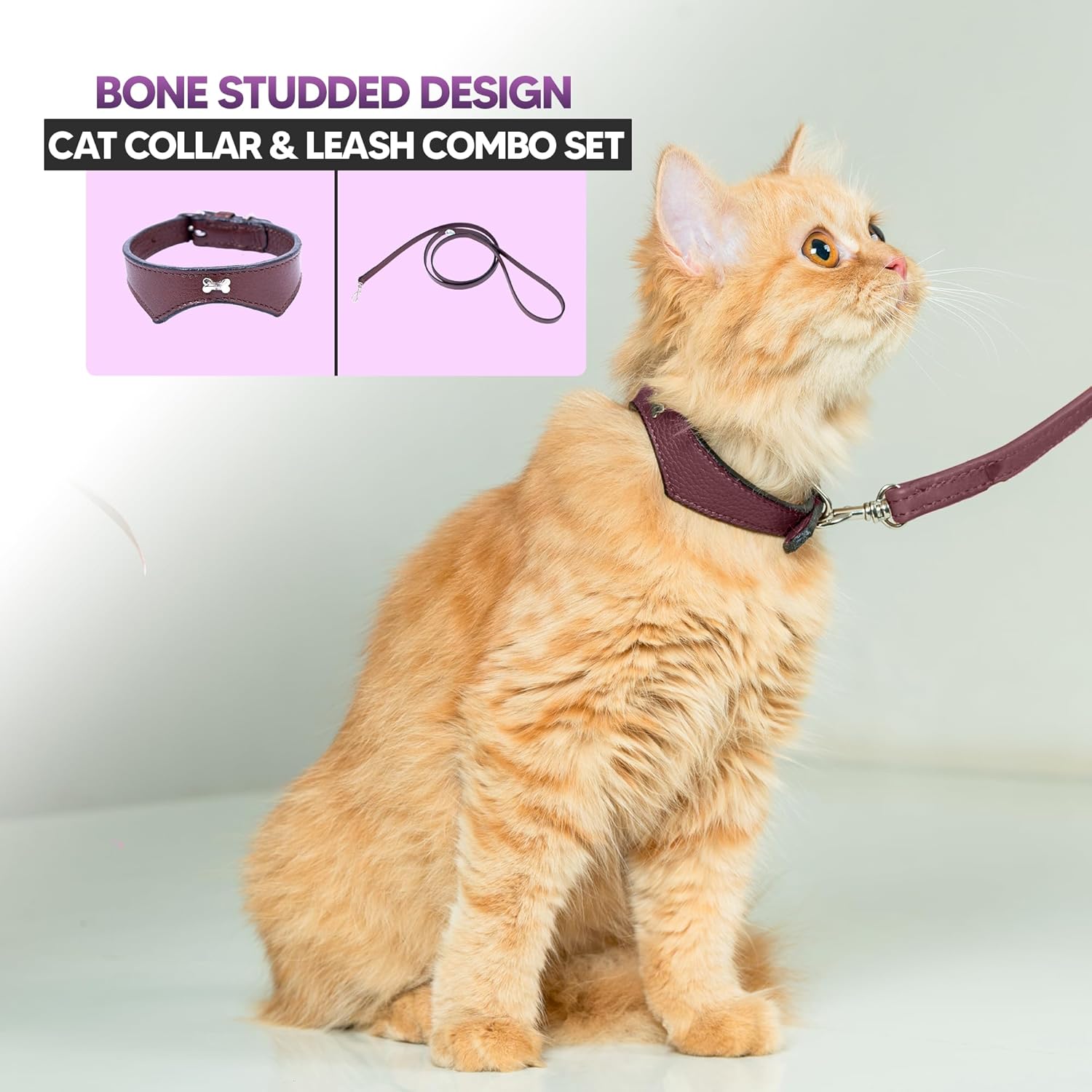 Adil’S Leather Cat Collar & Leash Set Combo - Stylish Single Bone Studded Design Collar, Genuine Leather, Adjustable Buckle & Secure 5ft Leash for Outdoor Activity (Brown)