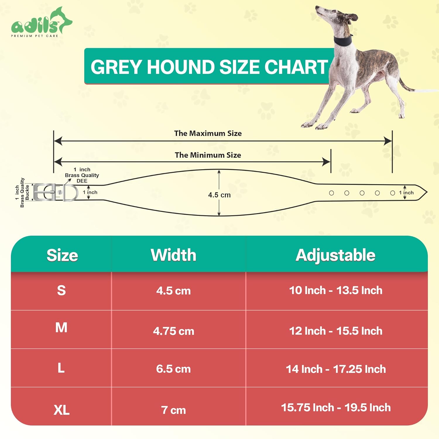 Adil's Leather Dog Collar for Greyhound, Saluki, and Whippet Dogs