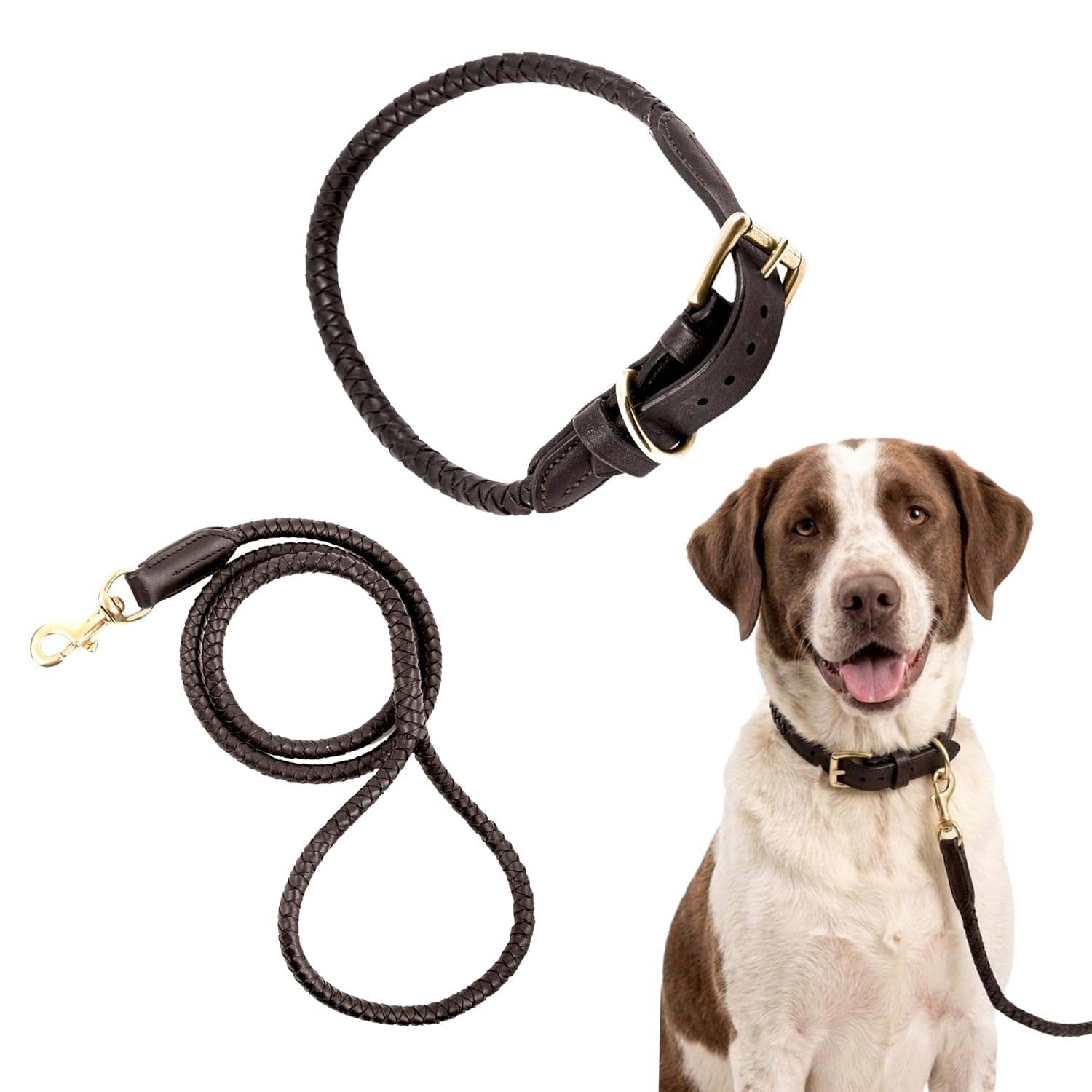 Braided Rolled Drum Dyed (DD) Leather Dog Collar & Leash