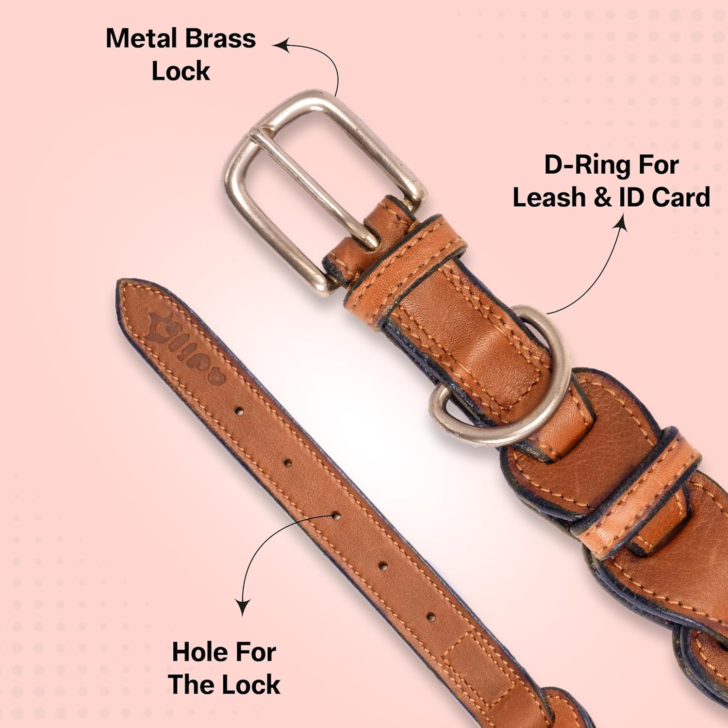 Adil's Leather Personalized Dog Collar (Softy Leather) – 1.5 Inch Wide