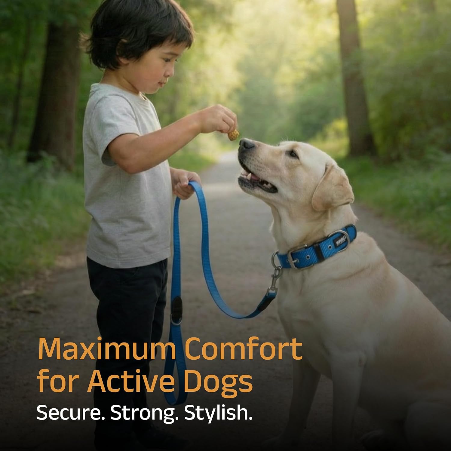 ADIL's Nylon Dog Collar – 1.5 Inch Wide Heavy-Duty Neckbelt with Metal Buckle D-Ring, Adjustable Safety Strap Small Medium Large Pets for Outdoor Walking Training