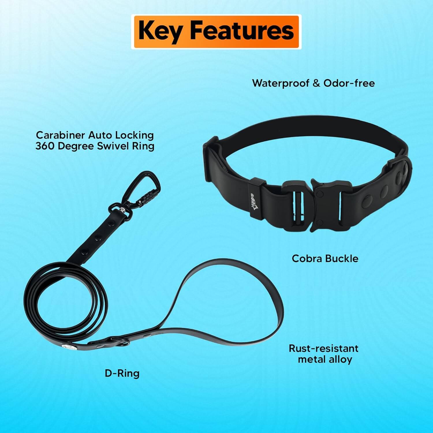 Biothane Combo Dog Collar & Leash