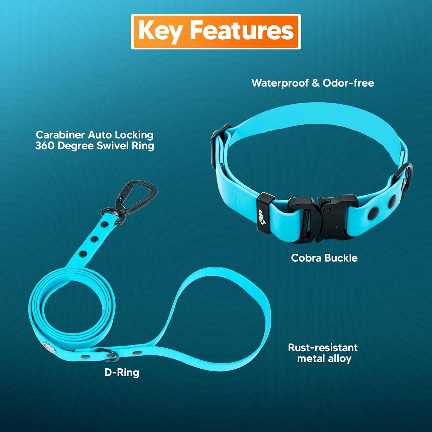 Biothane Combo Dog Collar & Leash
