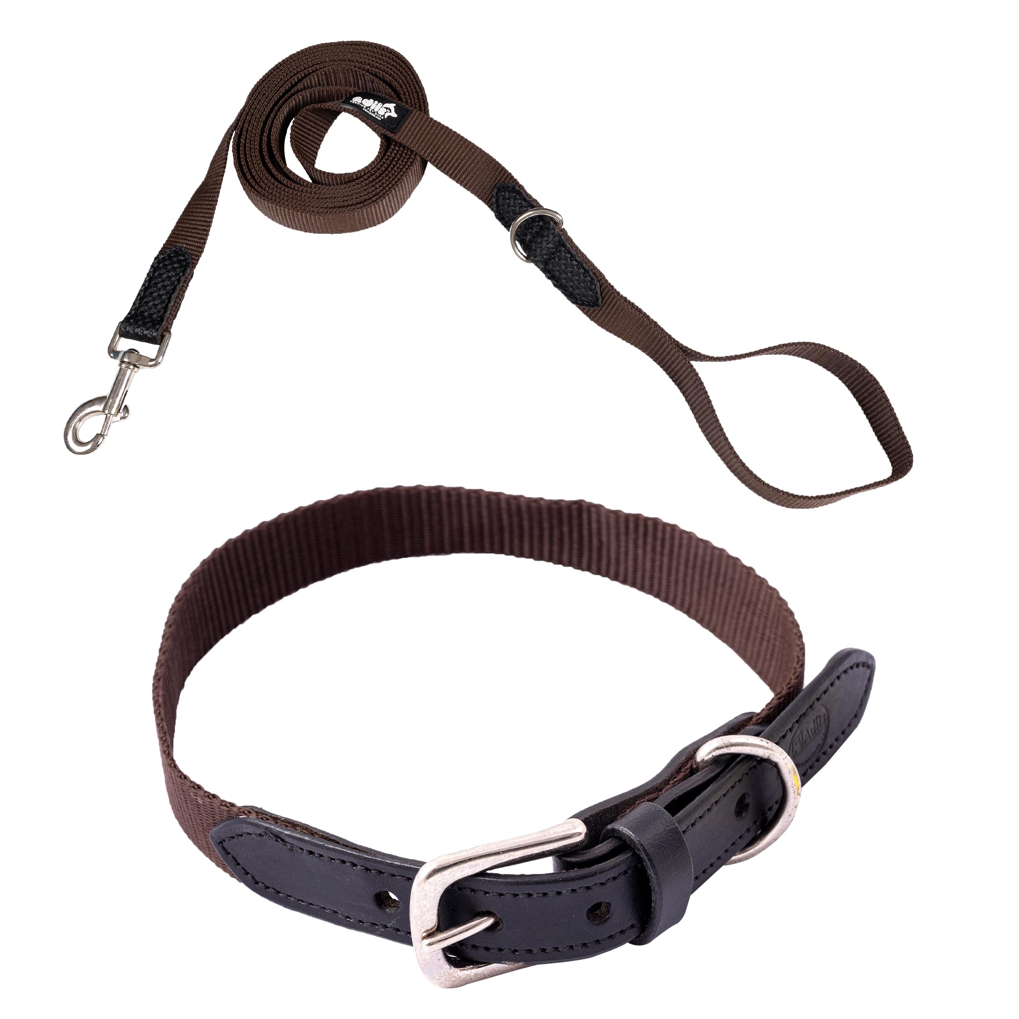 Adil’s Adjustable Plain Nylon with Leather Dog Collar & Leash Combo – Reinforced with Metal Buckle, 360° Swivel Hook, D-Ring & 10ft Leash for Small, Medium & Large Dogs (Purple, Small)