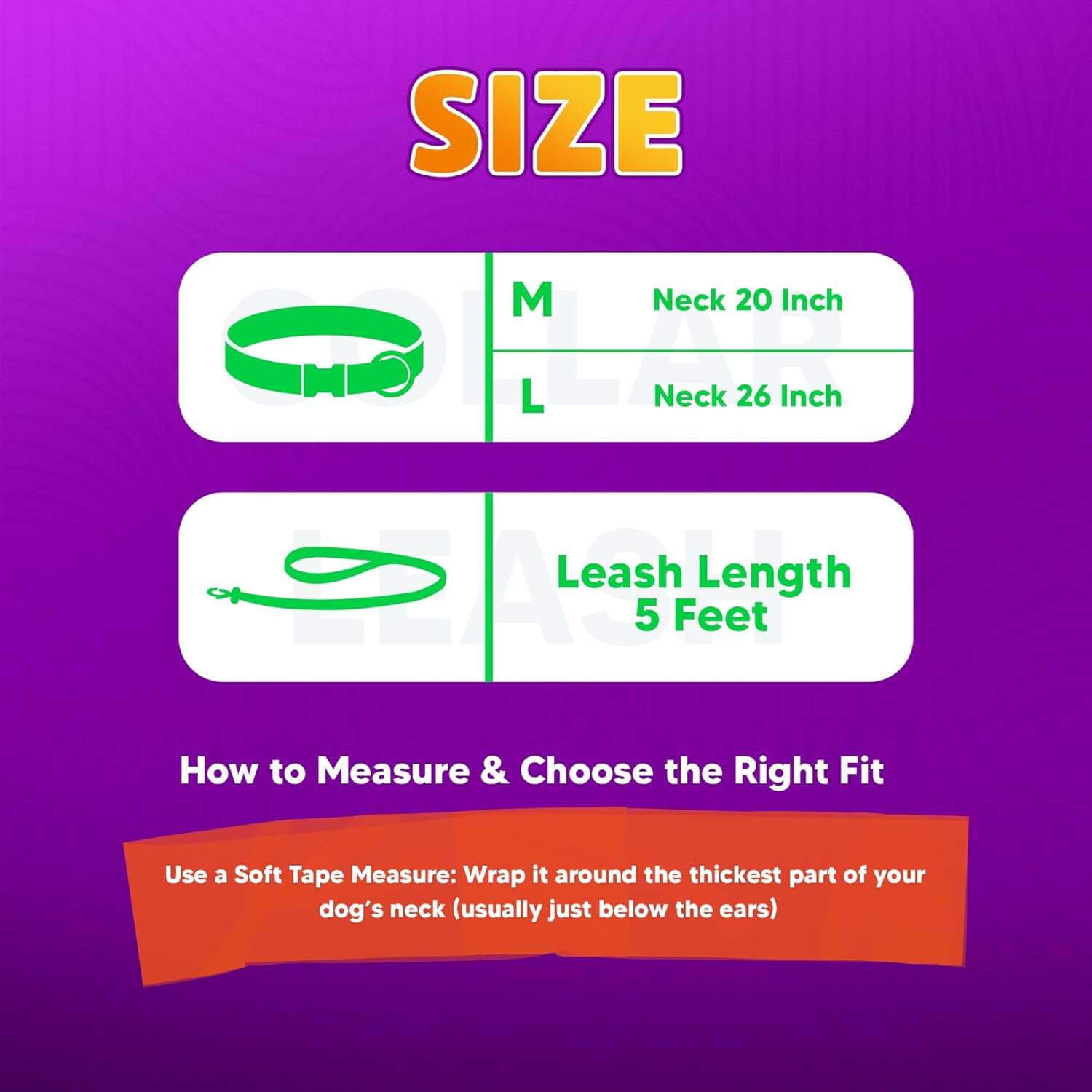 Biothane Combo Dog Collar & Leash