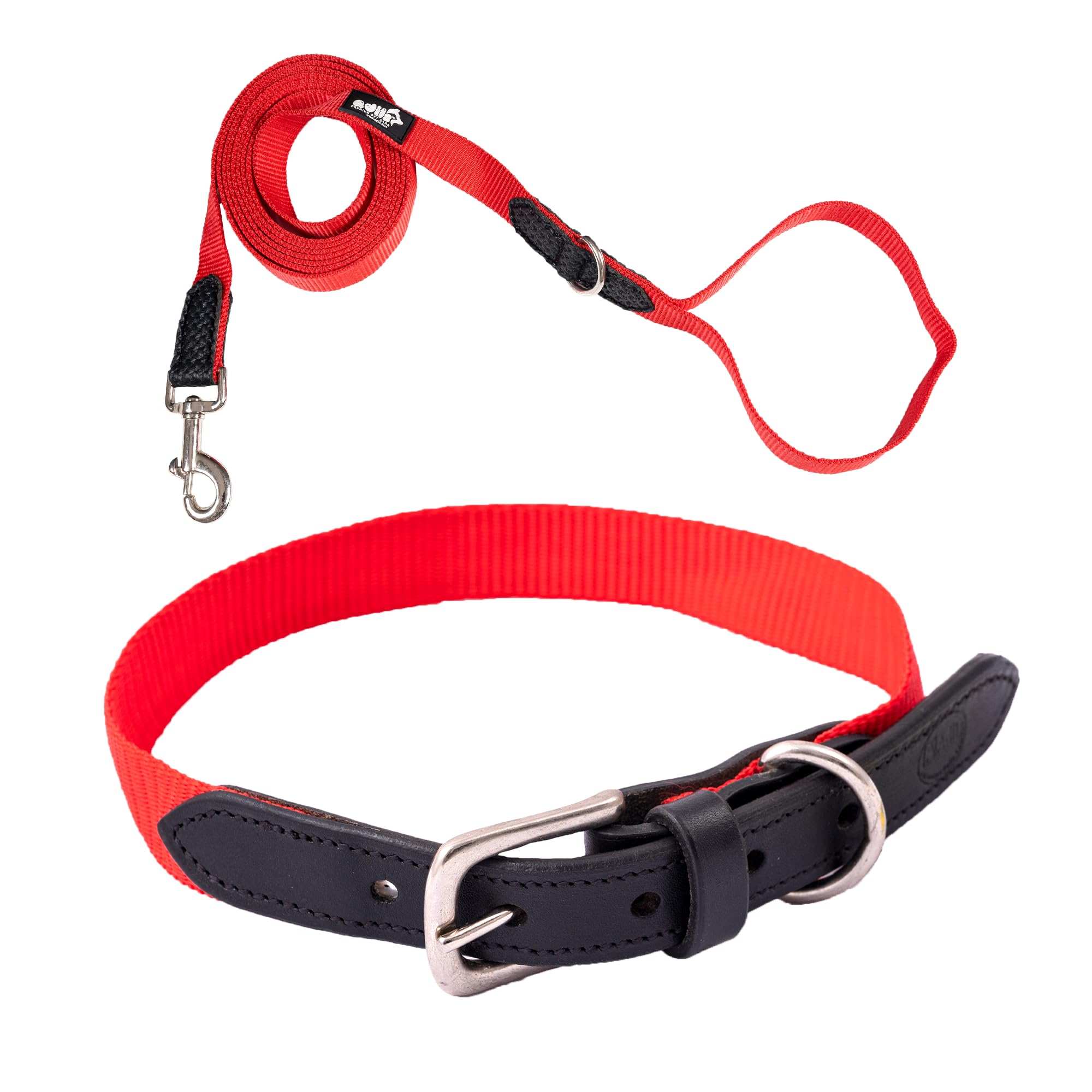 Adil’s Adjustable Plain Nylon with Leather Dog Collar & Leash Combo – Reinforced with Metal Buckle, 360° Swivel Hook, D-Ring & 10ft Leash for Small, Medium & Large Dogs (Purple, Small)