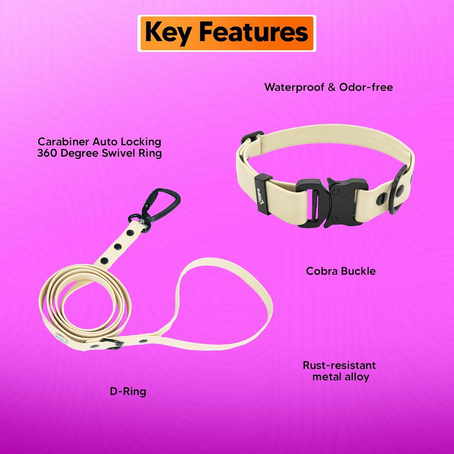 Biothane Combo Dog Collar & Leash