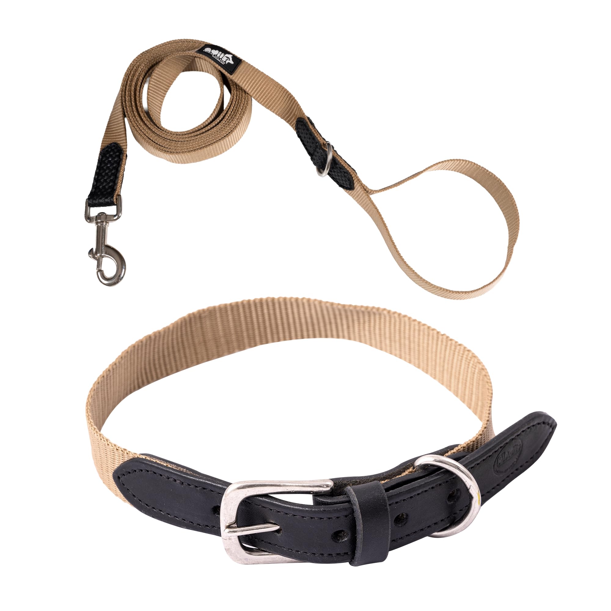 Adil’s Adjustable Plain Nylon with Leather Dog Collar & Leash Combo – Reinforced with Metal Buckle, 360° Swivel Hook, D-Ring & 10ft Leash for Small, Medium & Large Dogs (Purple, Small)