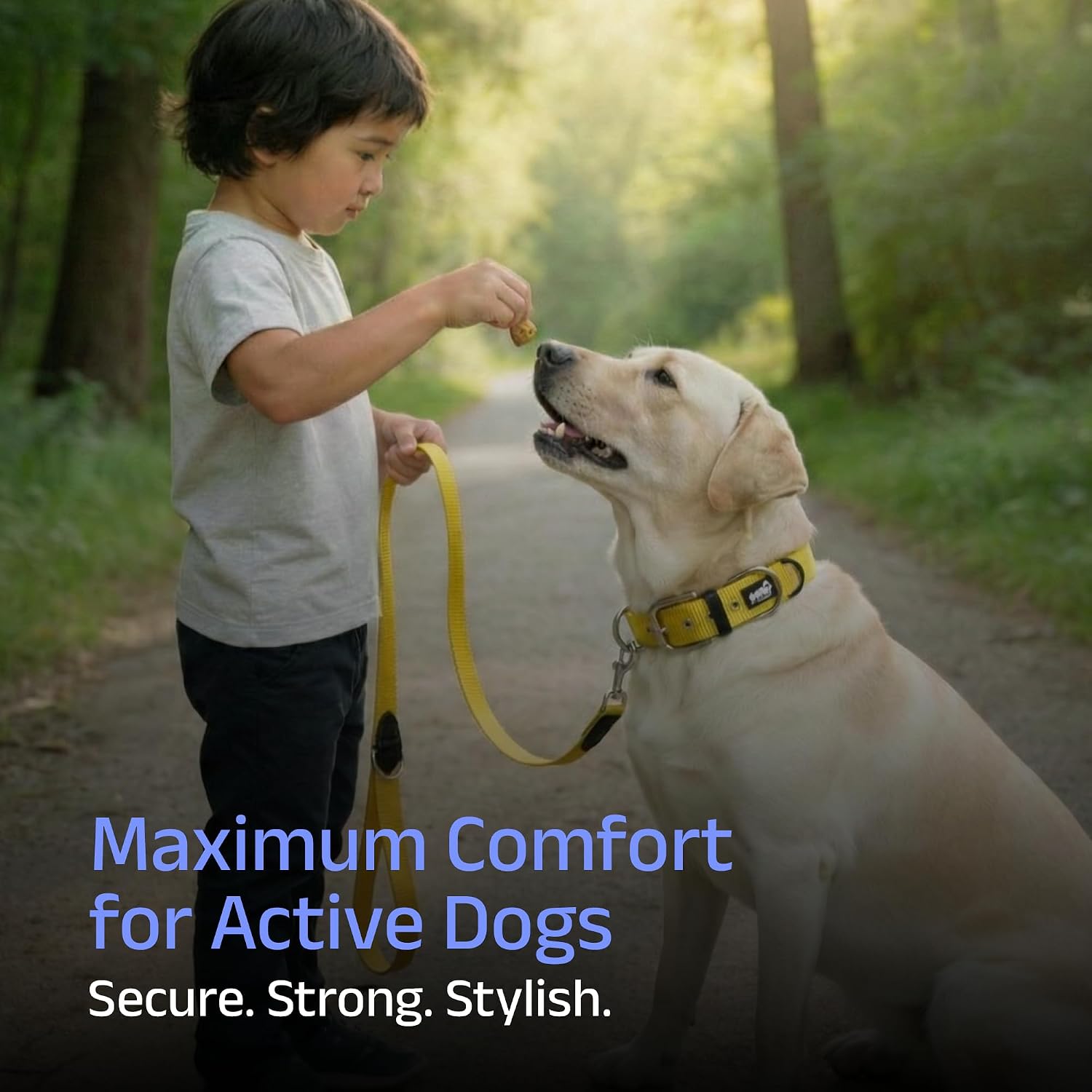 ADIL's Nylon Dog Collar – 1.5 Inch Wide Heavy-Duty Neckbelt with Metal Buckle D-Ring, Adjustable Safety Strap Small Medium Large Pets for Outdoor Walking Training