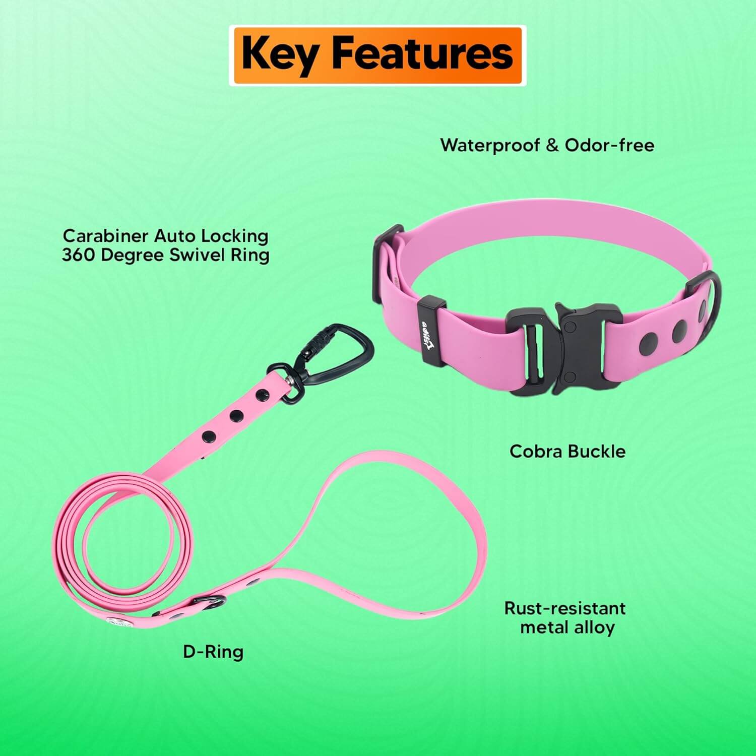 Biothane Combo Dog Collar & Leash
