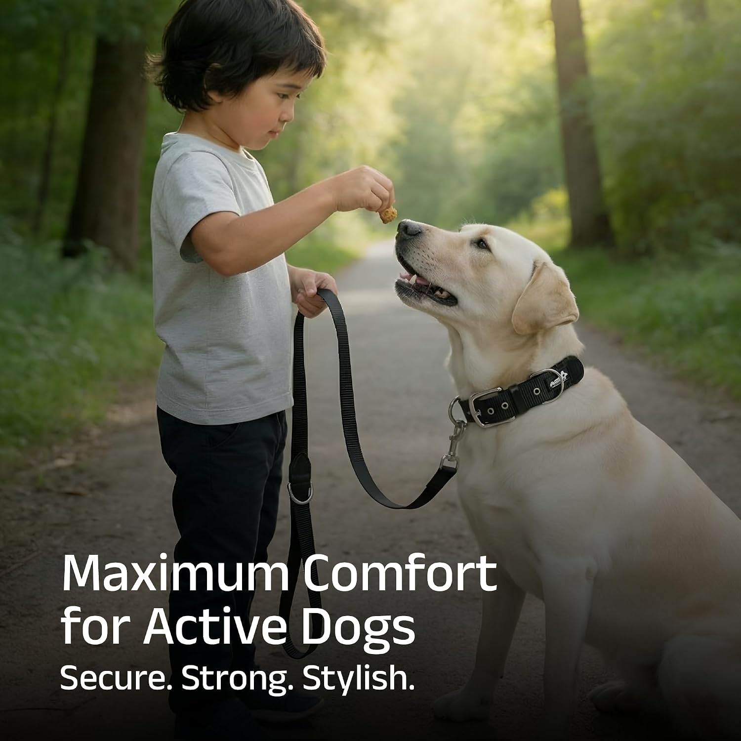ADIL's Nylon Dog Collar – 1.5 Inch Wide Heavy-Duty Neckbelt with Metal Buckle D-Ring, Adjustable Safety Strap Small Medium Large Pets for Outdoor Walking Training