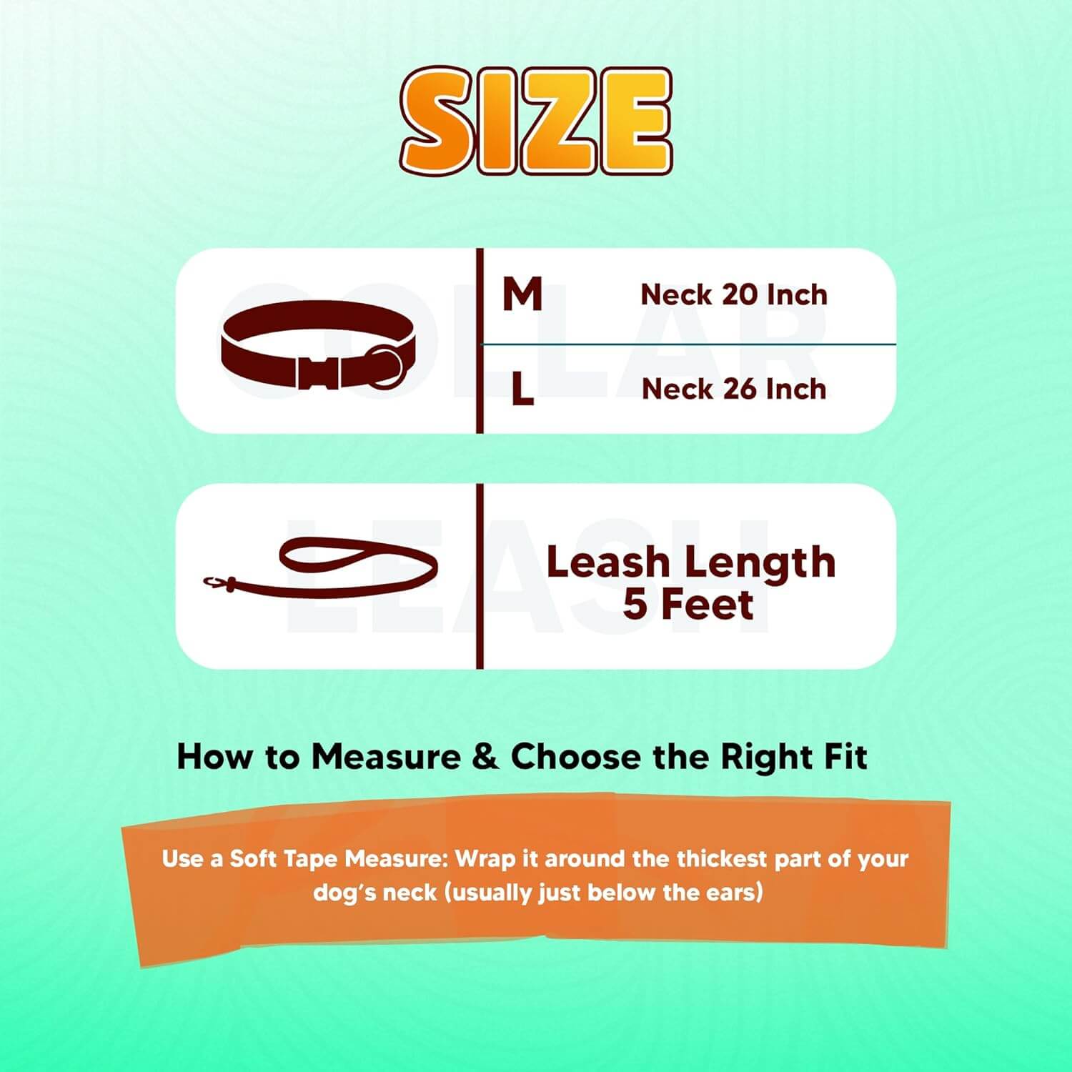 Biothane Combo Dog Collar & Leash