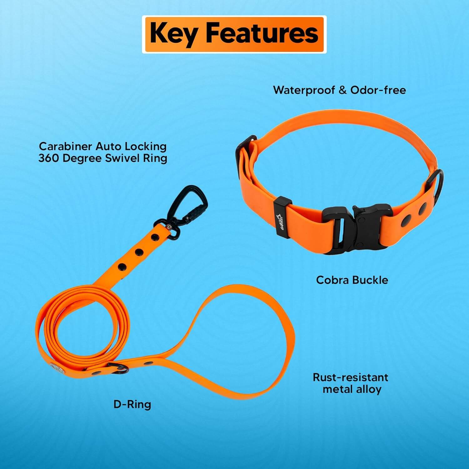Biothane Combo Dog Collar & Leash