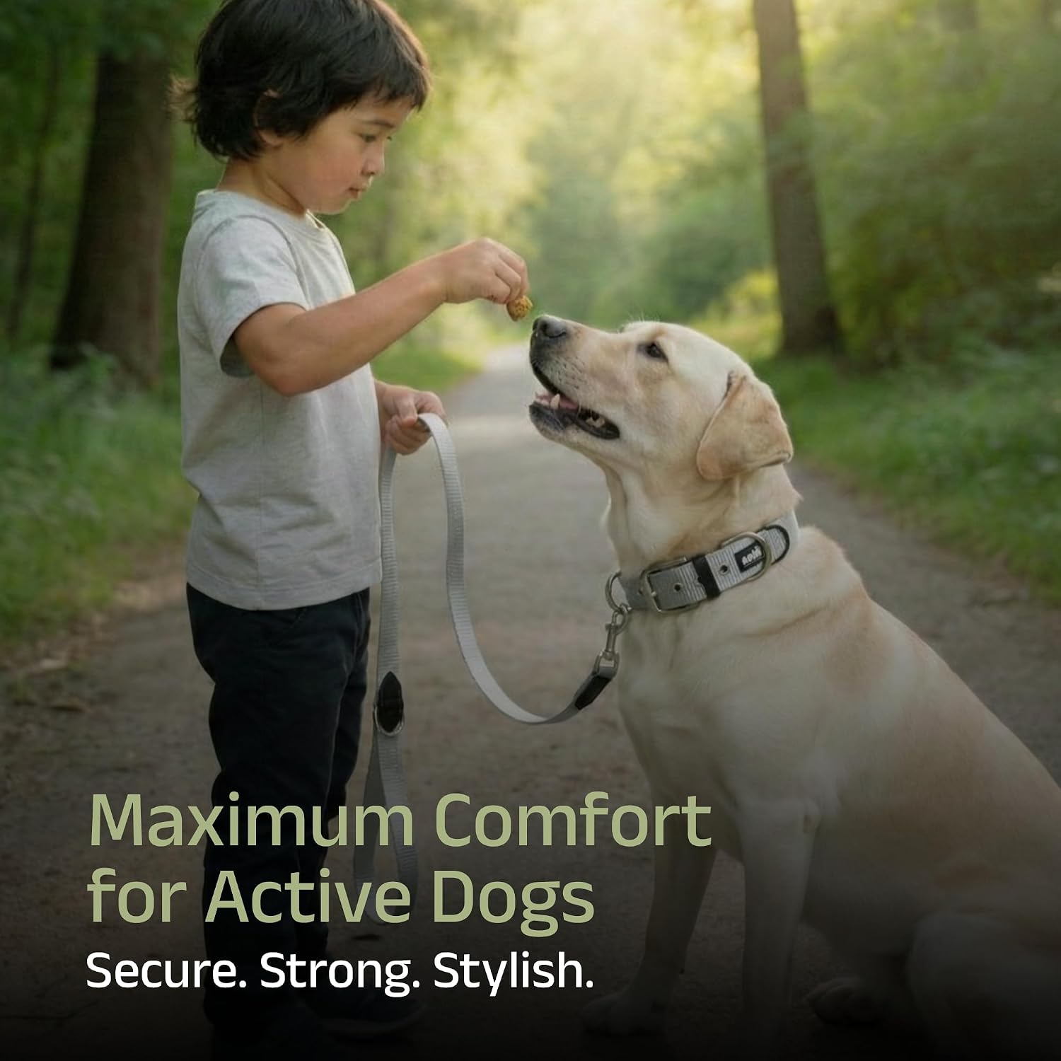 ADIL's Nylon Dog Collar – 1.5 Inch Wide Heavy-Duty Neckbelt with Metal Buckle D-Ring, Adjustable Safety Strap Small Medium Large Pets for Outdoor Walking Training