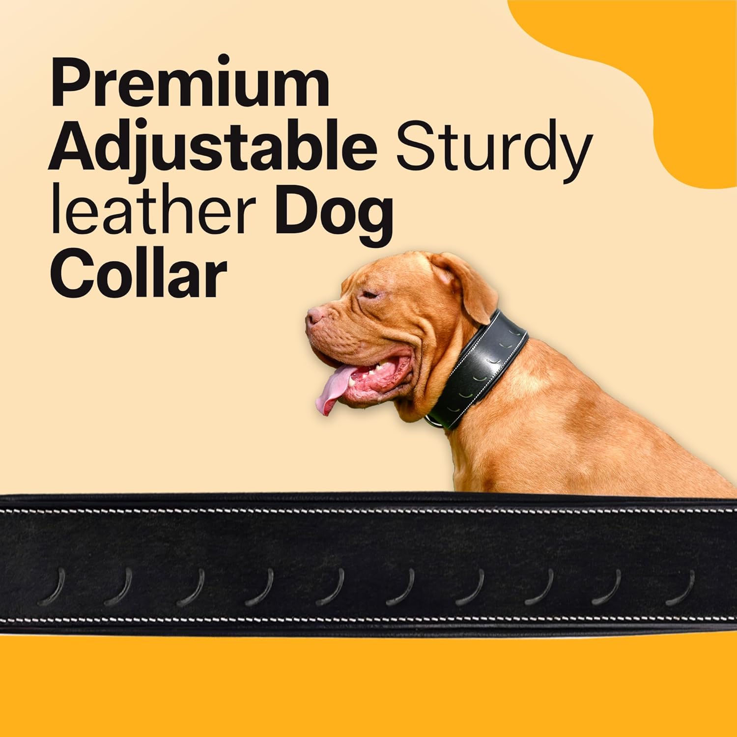 Adil’S Tooling Half Moon Cut Tooled Dog Collar 2.25INCH Width Suitable for Medium & Large Dogs, Hand Tooled Leather Dog Collar with Sturdy Hardware & Classic Design