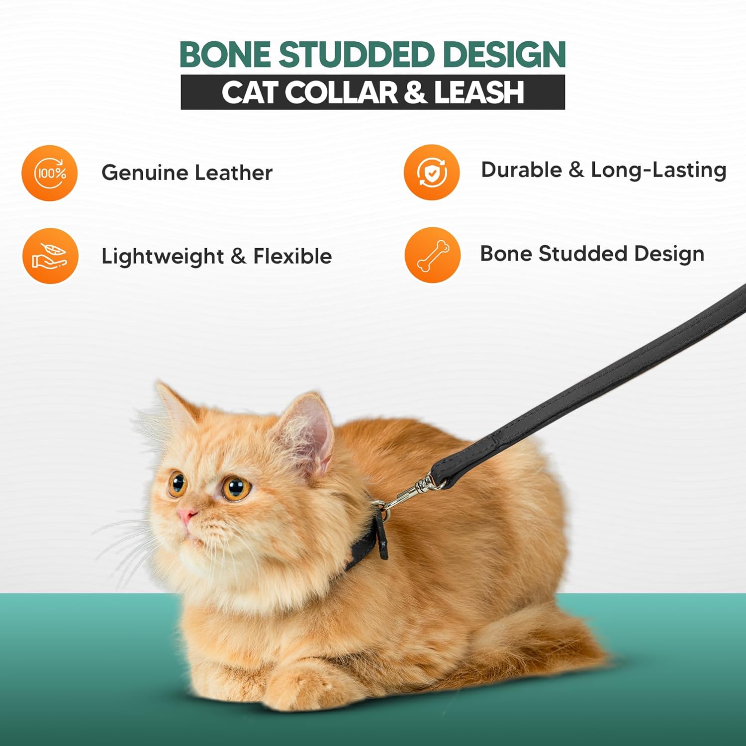 Adil’S Leather Cat Collar & Leash Set Combo - Stylish Single Bone Studded Design Collar, Genuine Leather, Adjustable Buckle & Secure 5ft Leash for Outdoor Activity (Brown)