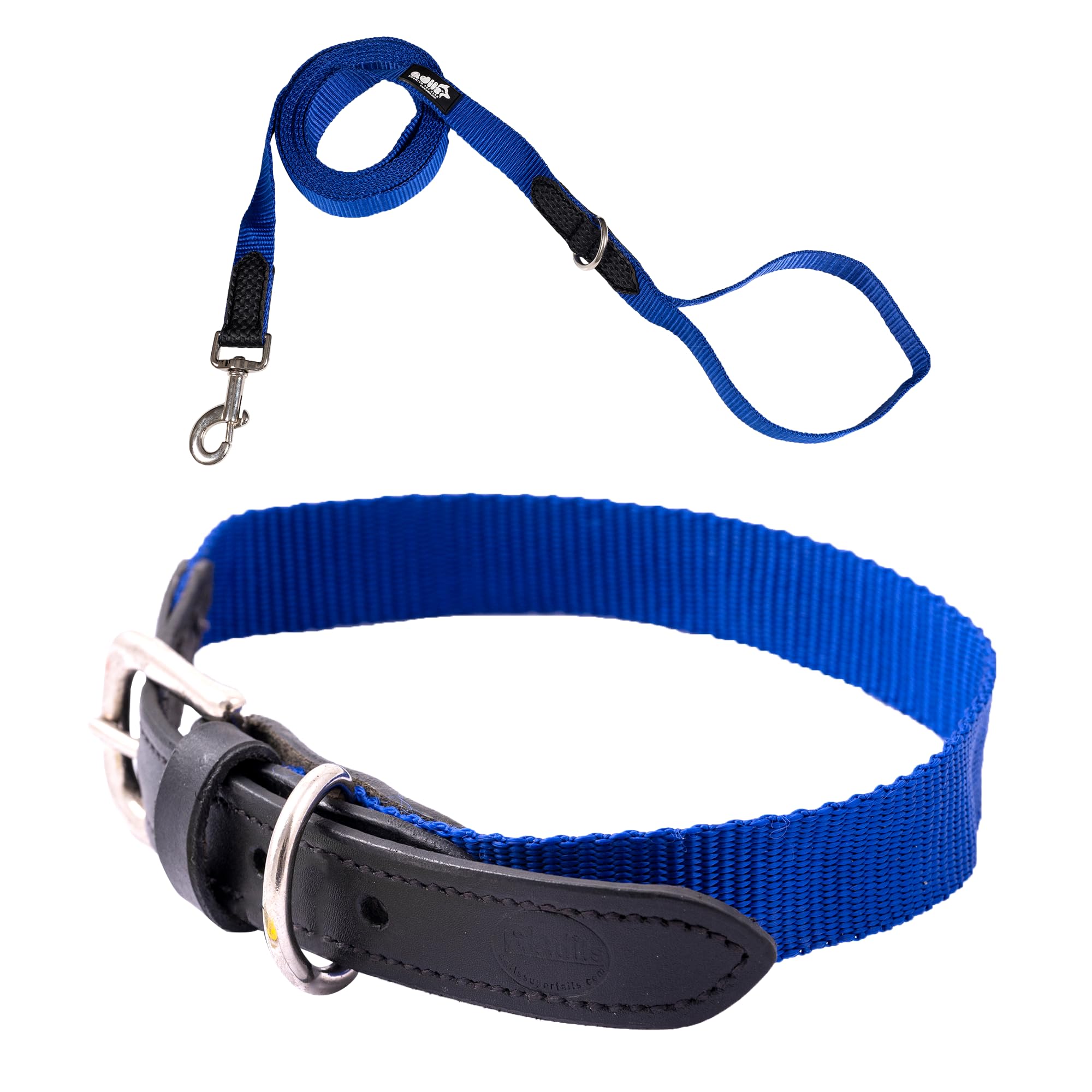 Adil’s Adjustable Plain Nylon with Leather Dog Collar & Leash Combo – Reinforced with Metal Buckle, 360° Swivel Hook, D-Ring & 10ft Leash for Small, Medium & Large Dogs (Purple, Small)