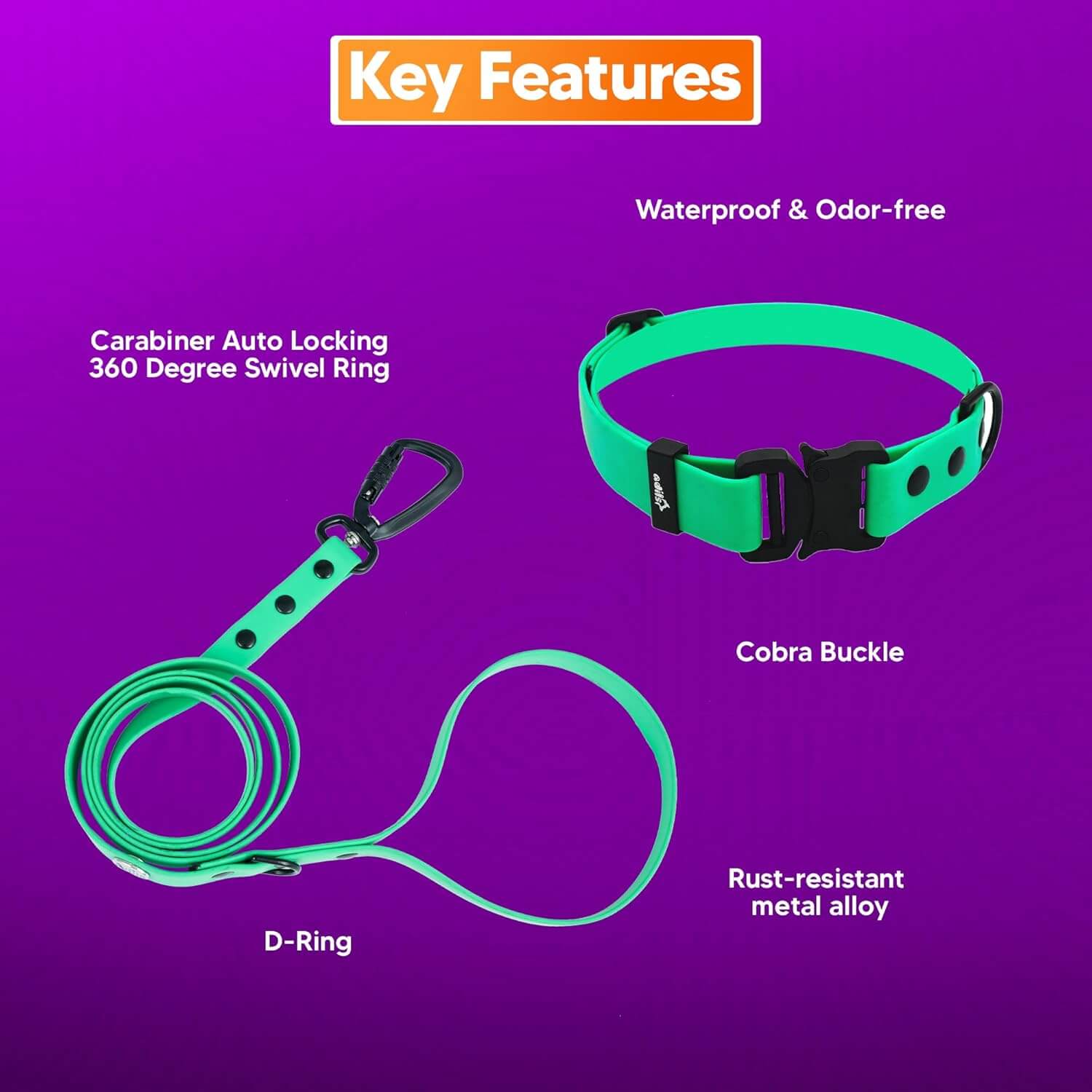 Biothane Combo Dog Collar & Leash