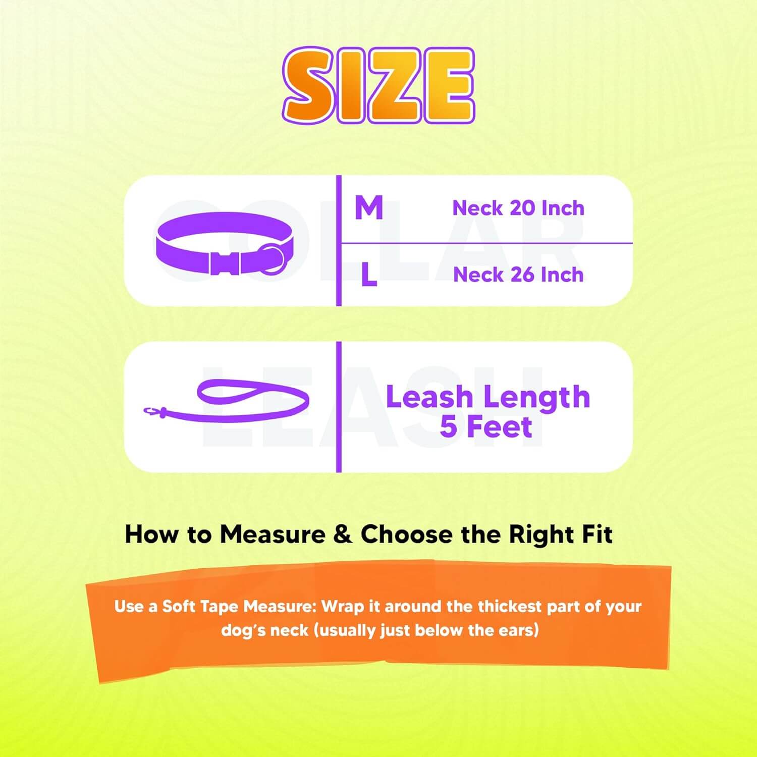 Biothane Combo Dog Collar & Leash