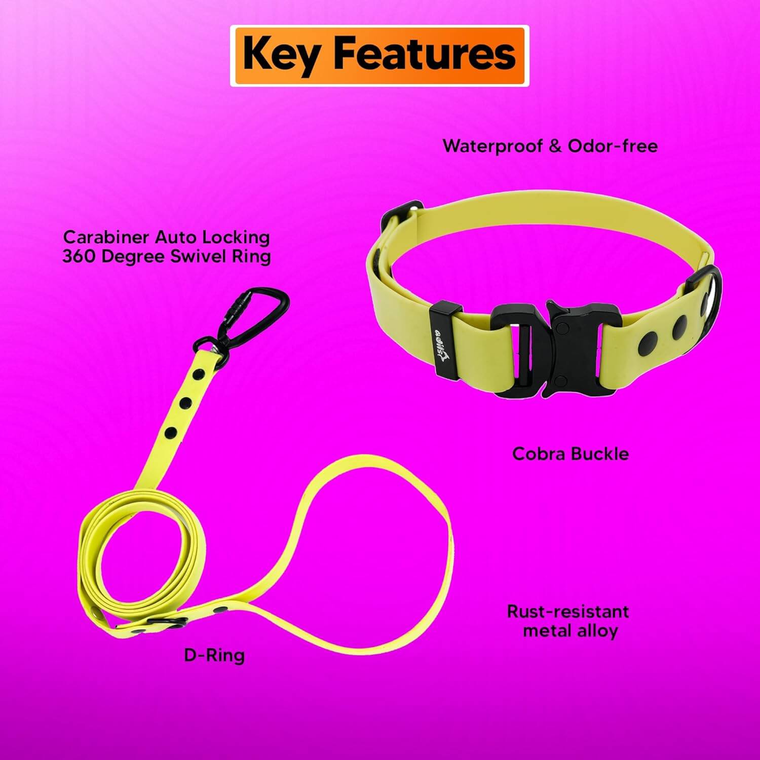 Biothane Combo Dog Collar & Leash