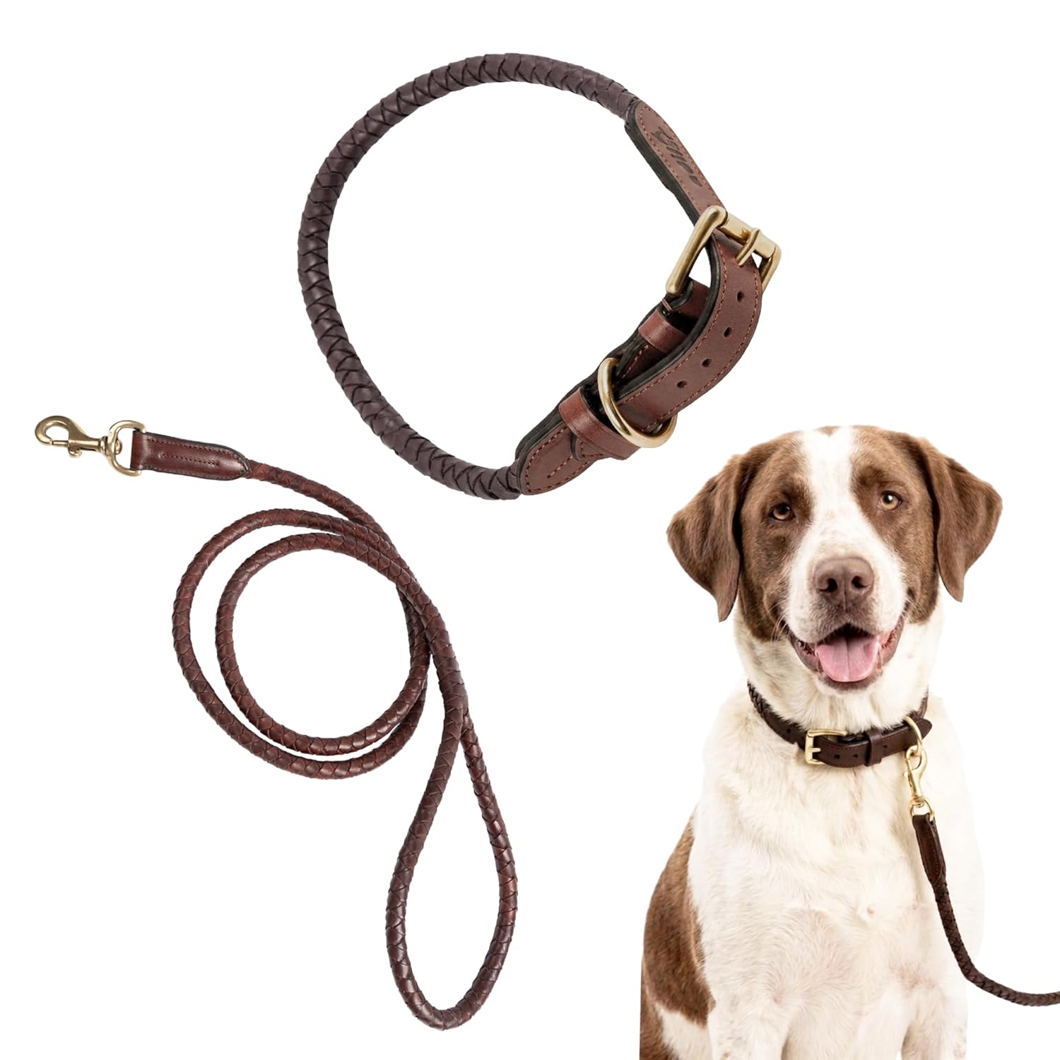 Braided Rolled Drum Dyed (DD) Leather Dog Collar & Leash