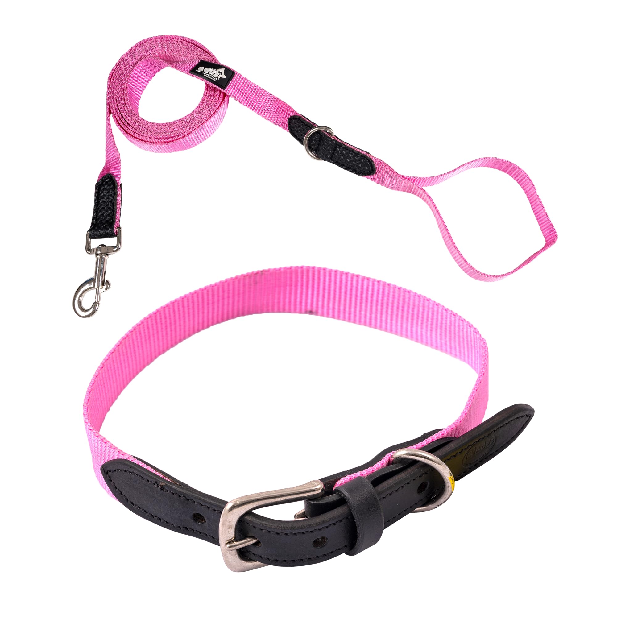Adil’s Adjustable Plain Nylon with Leather Dog Collar & Leash Combo – Reinforced with Metal Buckle, 360° Swivel Hook, D-Ring & 10ft Leash for Small, Medium & Large Dogs (Purple, Small)