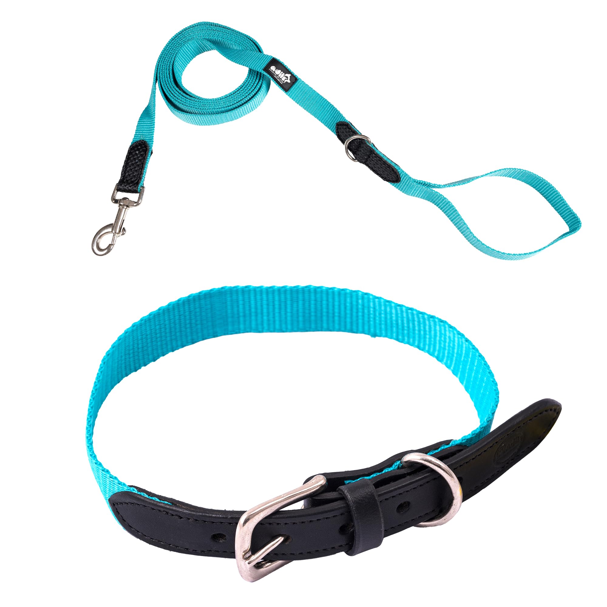 Adil’s Adjustable Plain Nylon with Leather Dog Collar & Leash Combo – Reinforced with Metal Buckle, 360° Swivel Hook, D-Ring & 10ft Leash for Small, Medium & Large Dogs (Purple, Small)