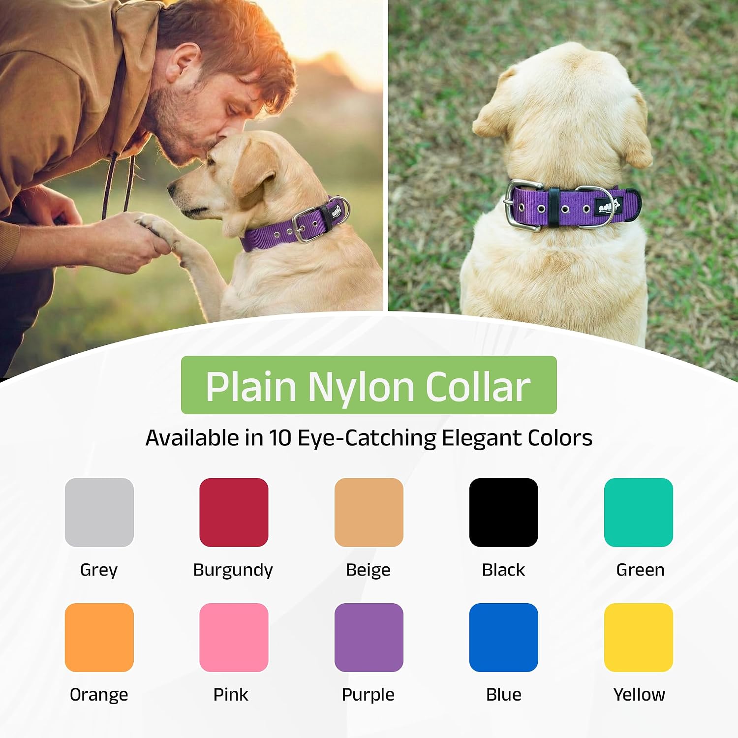 ADIL's Nylon Dog Collar – 1.5 Inch Wide Heavy-Duty Neckbelt with Metal Buckle D-Ring, Adjustable Safety Strap Small Medium Large Pets for Outdoor Walking Training
