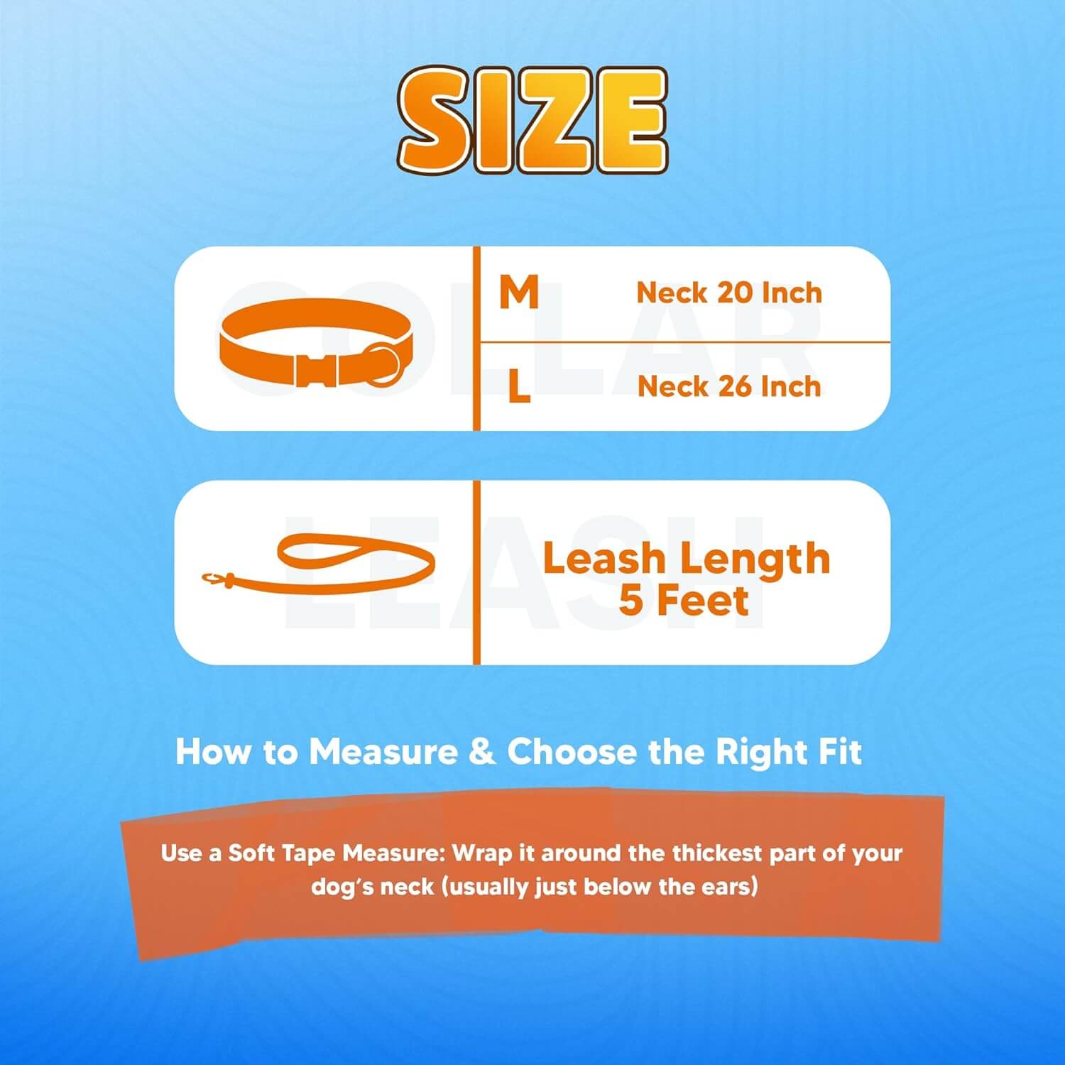 Biothane Combo Dog Collar & Leash