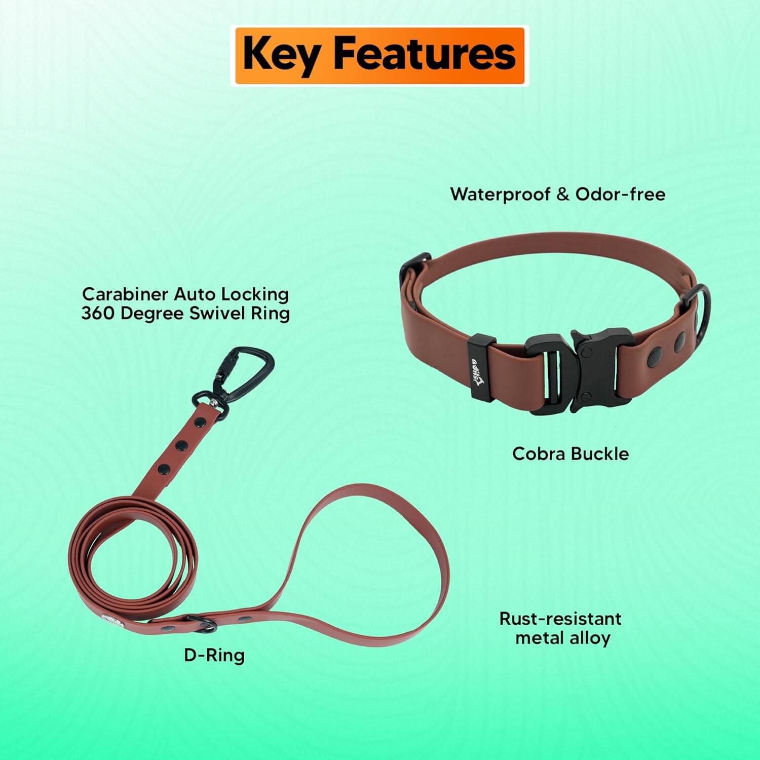 Biothane Combo Dog Collar & Leash