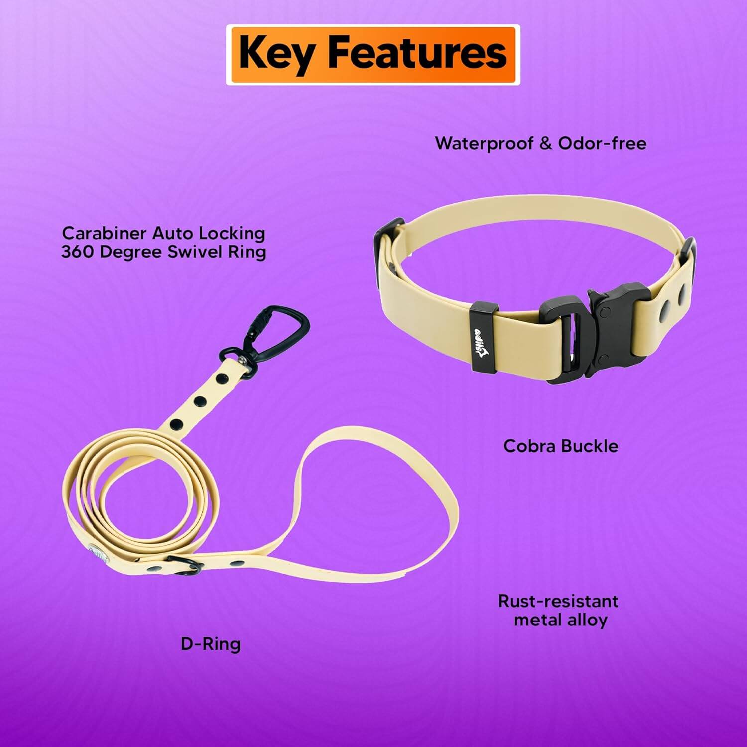Biothane Combo Dog Collar & Leash