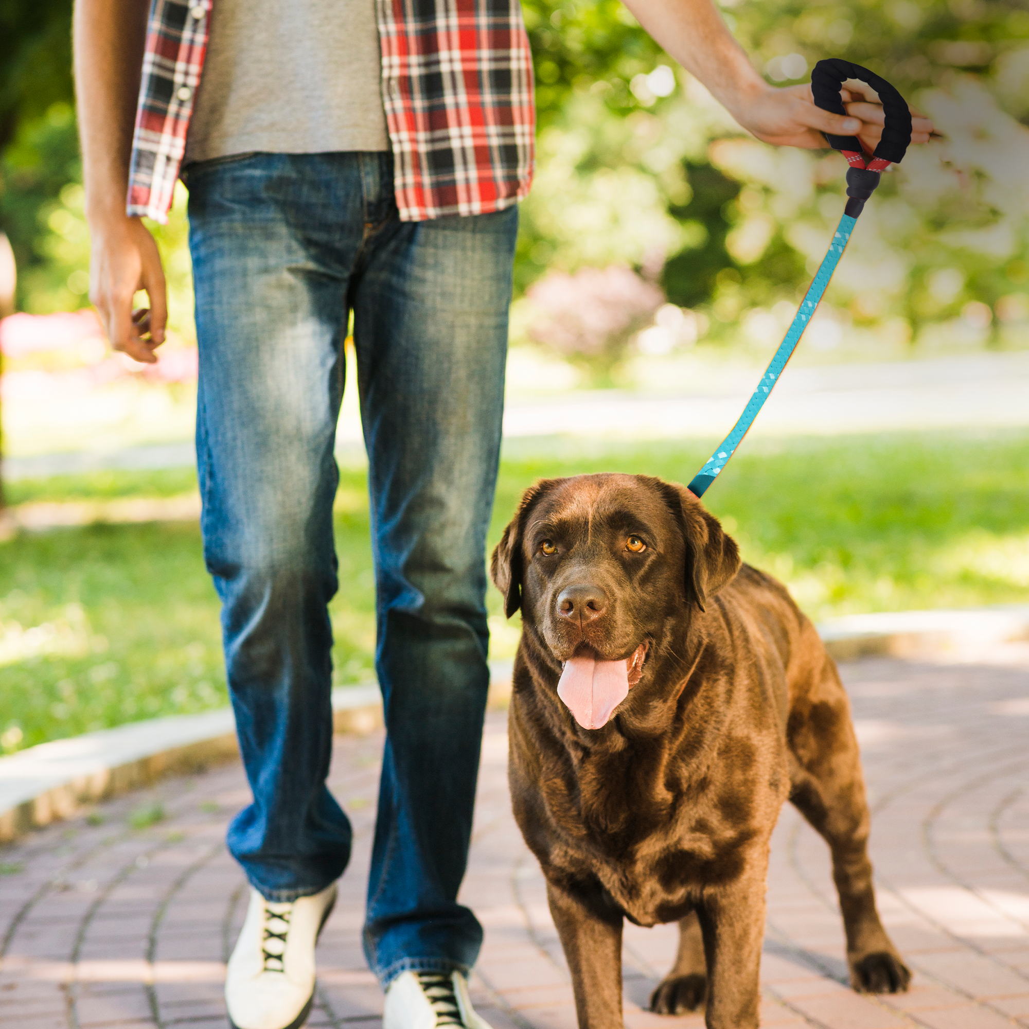 ADIL’S Heavy Duty Nylon Dog Leash, Reflective Dog Leash for Medium & Large Dogs (5 Feet)