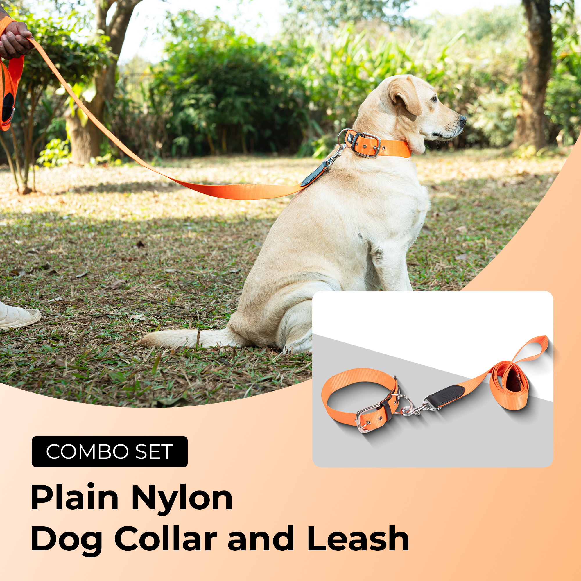 Adil’s Nylon Dog Collar & Leash Combo Set 1.5 Inch Wide Adjustable Collar with Strong Metal Buckle & D-Ring, 5 Ft Durable Leash with 360° Swivel Hook Pets