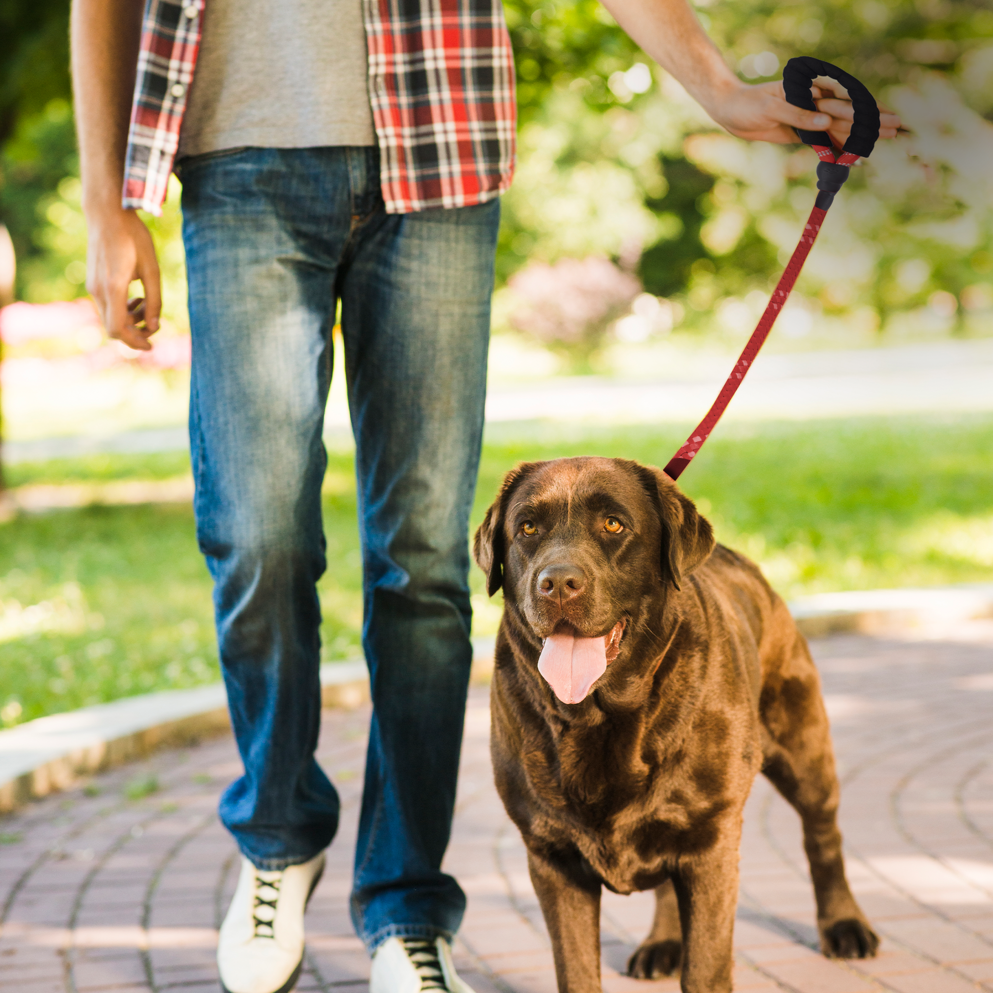 ADIL’S Heavy Duty Nylon Dog Leash, Reflective Dog Leash for Medium & Large Dogs (5 Feet)