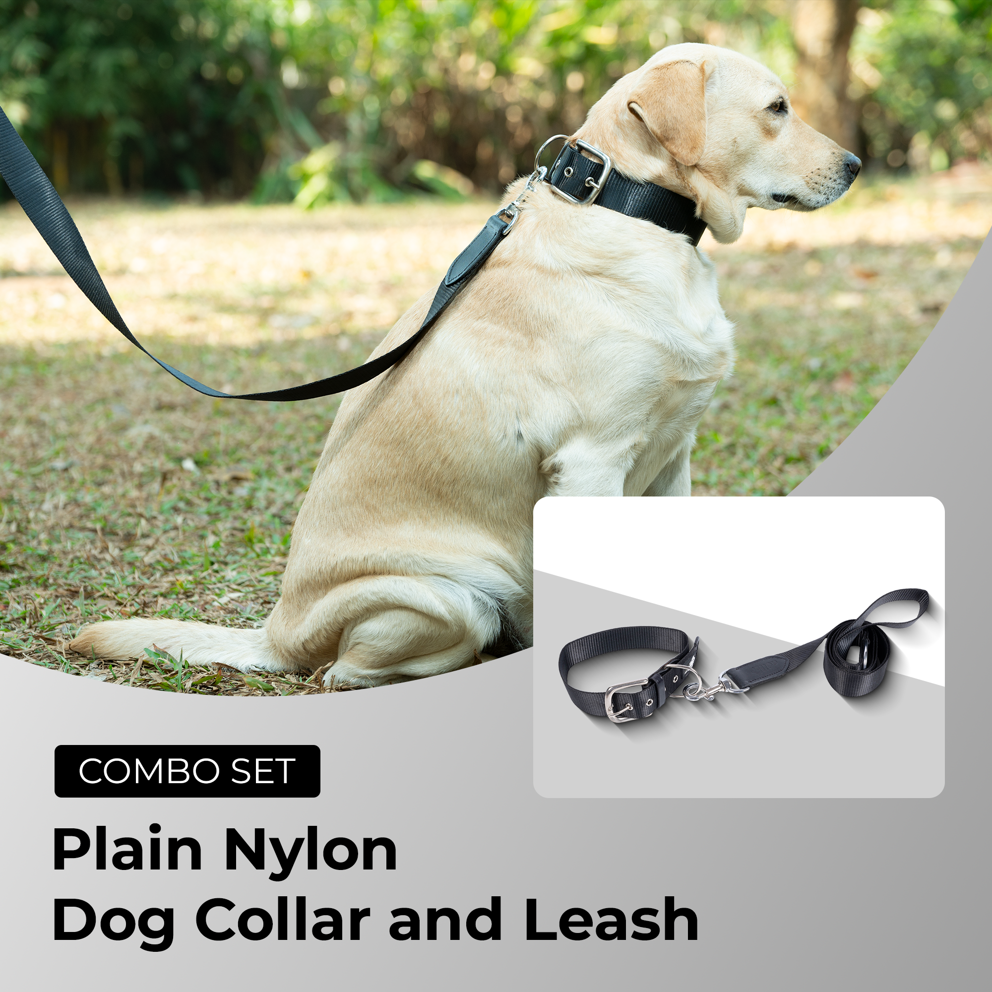 Adil’s Nylon Dog Collar & Leash Combo Set 1.5 Inch Wide Adjustable Collar with Strong Metal Buckle & D-Ring, 5 Ft Durable Leash with 360° Swivel Hook Pets