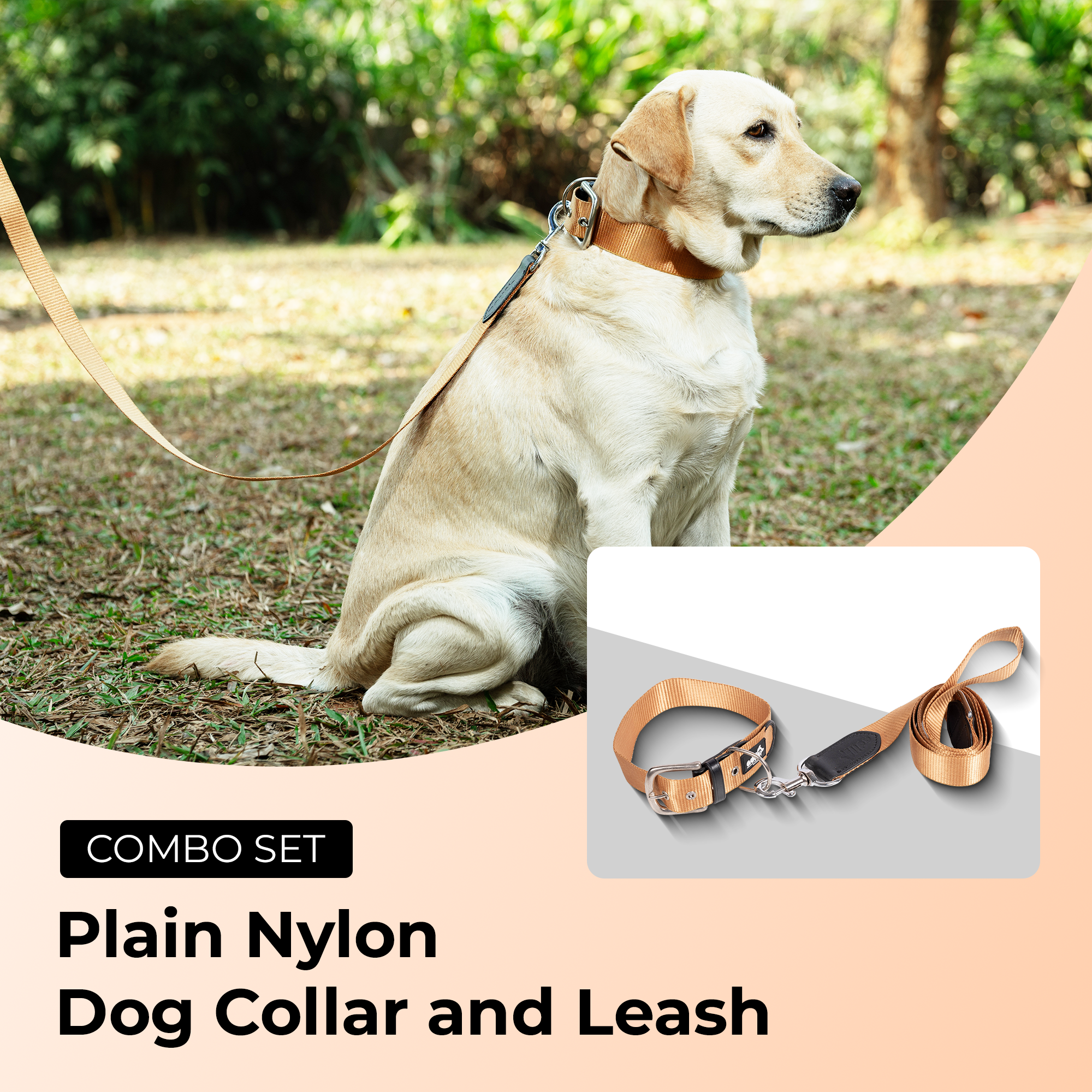 Adil’s Nylon Dog Collar & Leash Combo Set 1.5 Inch Wide Adjustable Collar with Strong Metal Buckle & D-Ring, 5 Ft Durable Leash with 360° Swivel Hook Pets