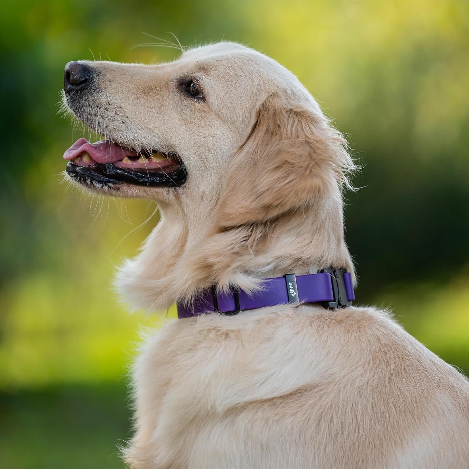 Adil’S Biothane Dog Collar - Waterproof Heavy Duty Dog Collars with Quick Release Buckle & D-Ring