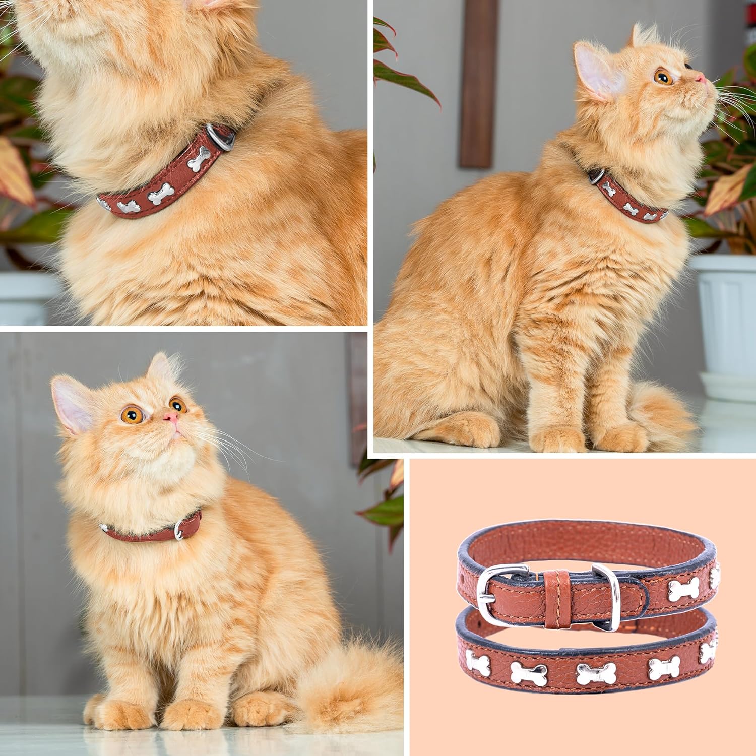Adil’S Leather Cat Collar - Stylish Six Bone Studded Design, Breakaway Soft pet Collar, Adjustable Metal Buckle with Strong D-Ring for Leash attachments,Comfortable & Secure (Black)