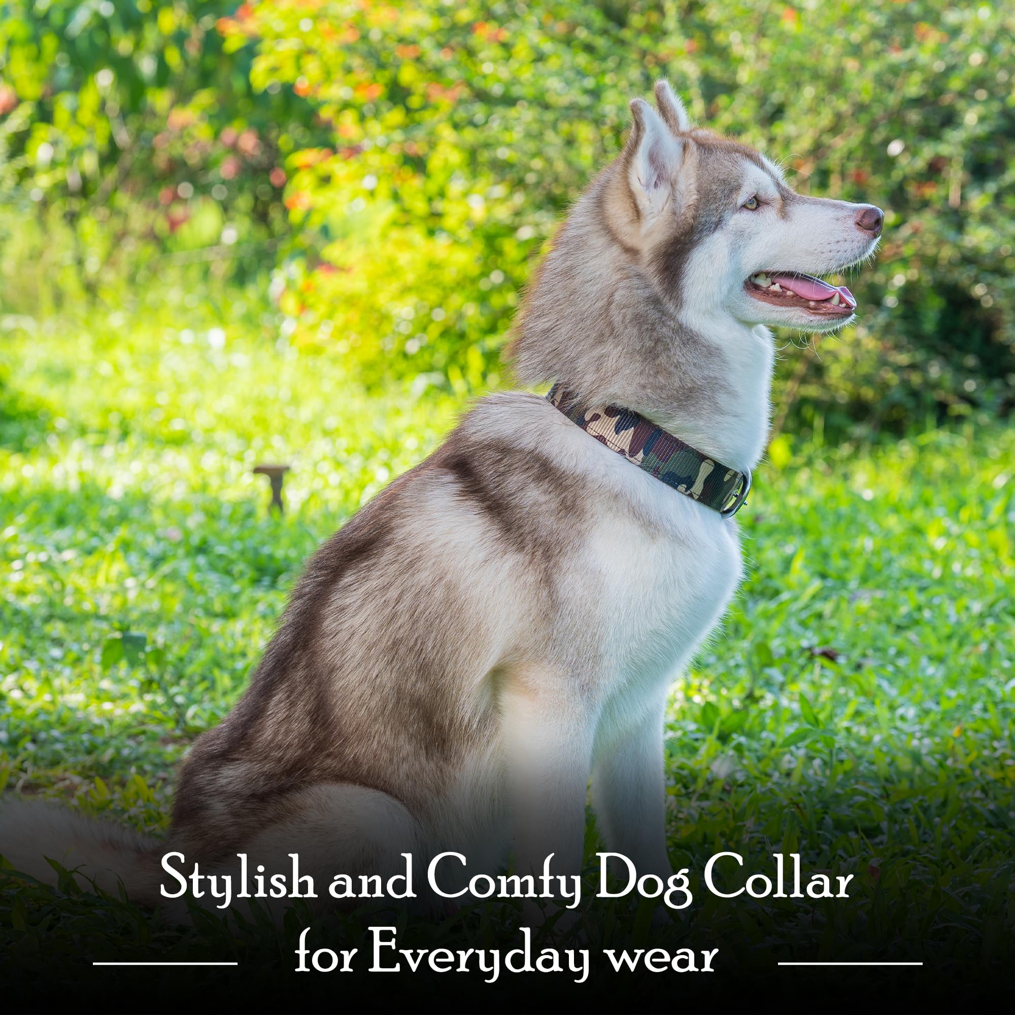 Adil’S Adjustable Army Dog Collar - Heavy-Duty Military Print Comfortable Nylon Dog Collar with Metal Buckle for All Dog Sizes | Ideal for Adventure and Everyday Wear
