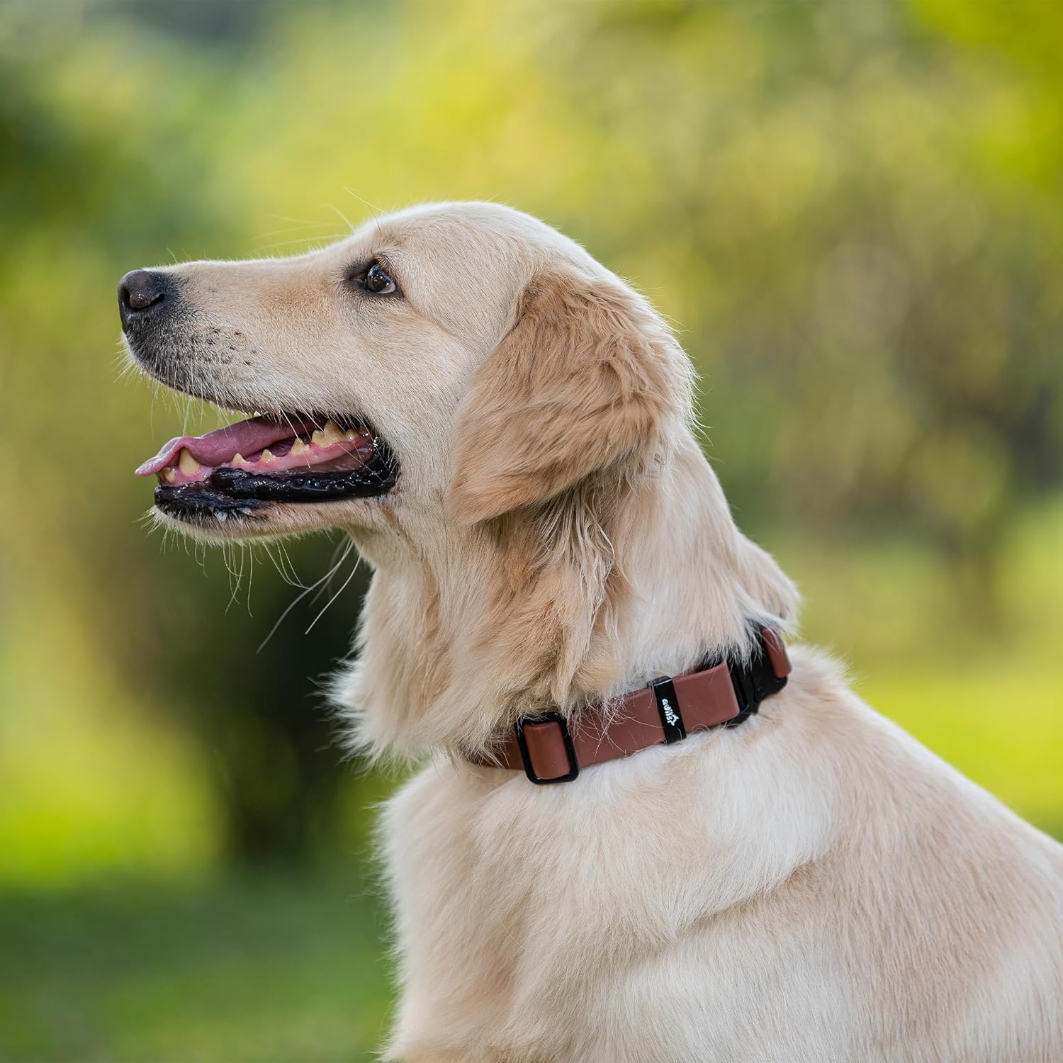 Adil’S Biothane Dog Collar - Waterproof Heavy Duty Dog Collars with Quick Release Buckle & D-Ring