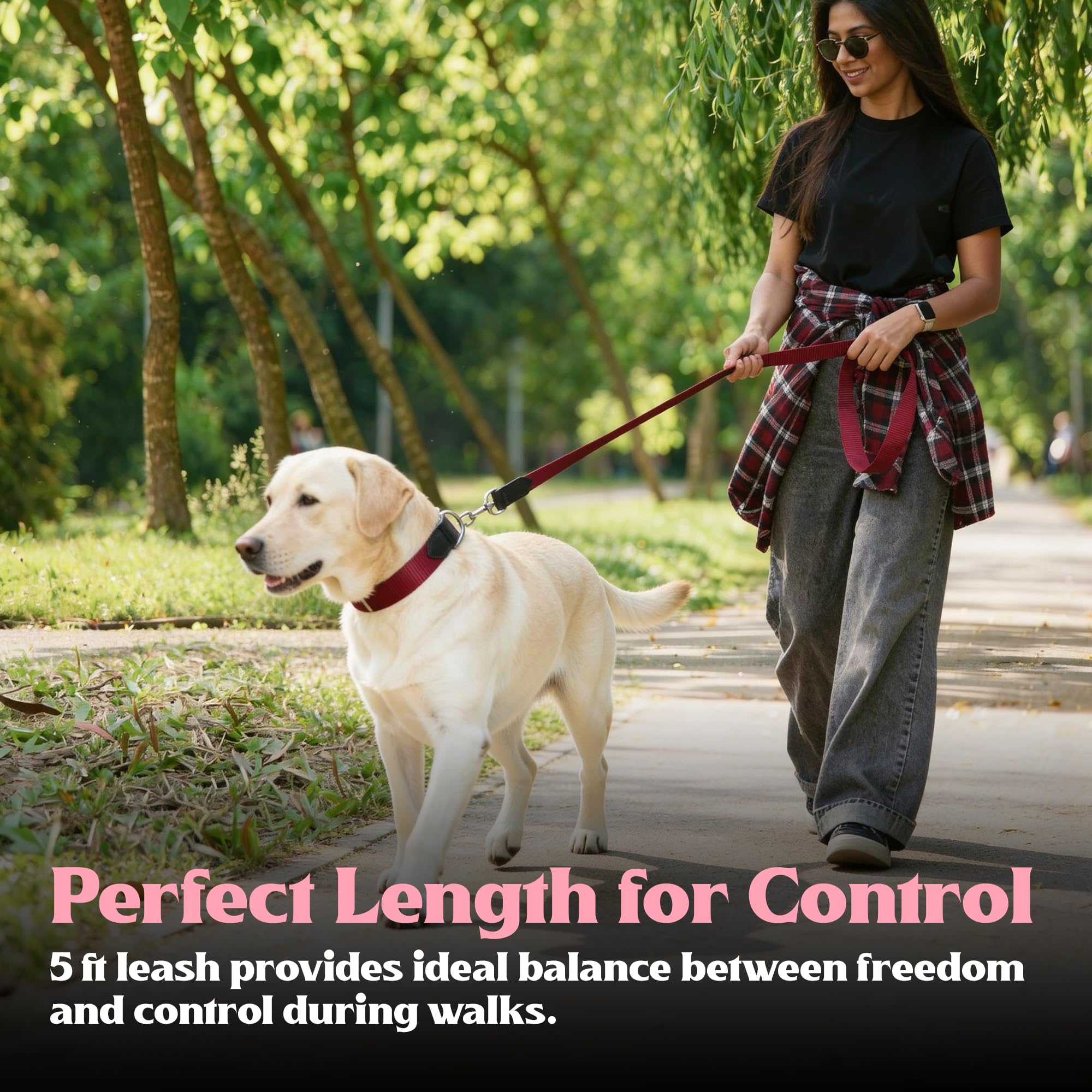 ADIL's Nylon Dog Leash, Heavy Duty Walking Lead with 360° Swivel Metal Hook 1.5 Inch Wide Durable Training Cord with Comfortable Loop Handle for Medium Large Dogs